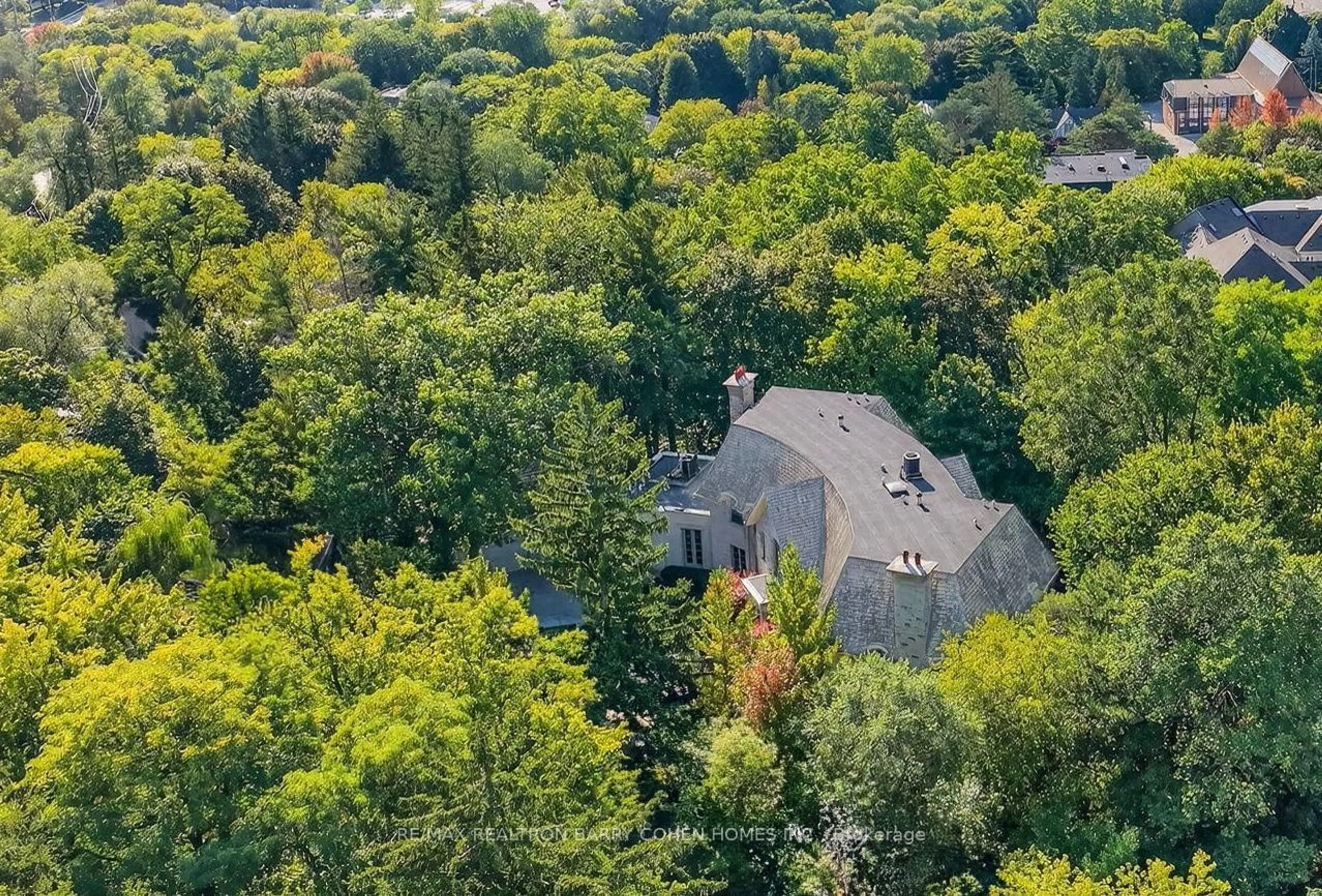 A pic from outside/outdoor area/front of a property/back of a property/a pic from drone, forest/trees view for 36 Old Yonge St, Toronto Ontario M2P 1P7