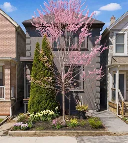 history photo preview