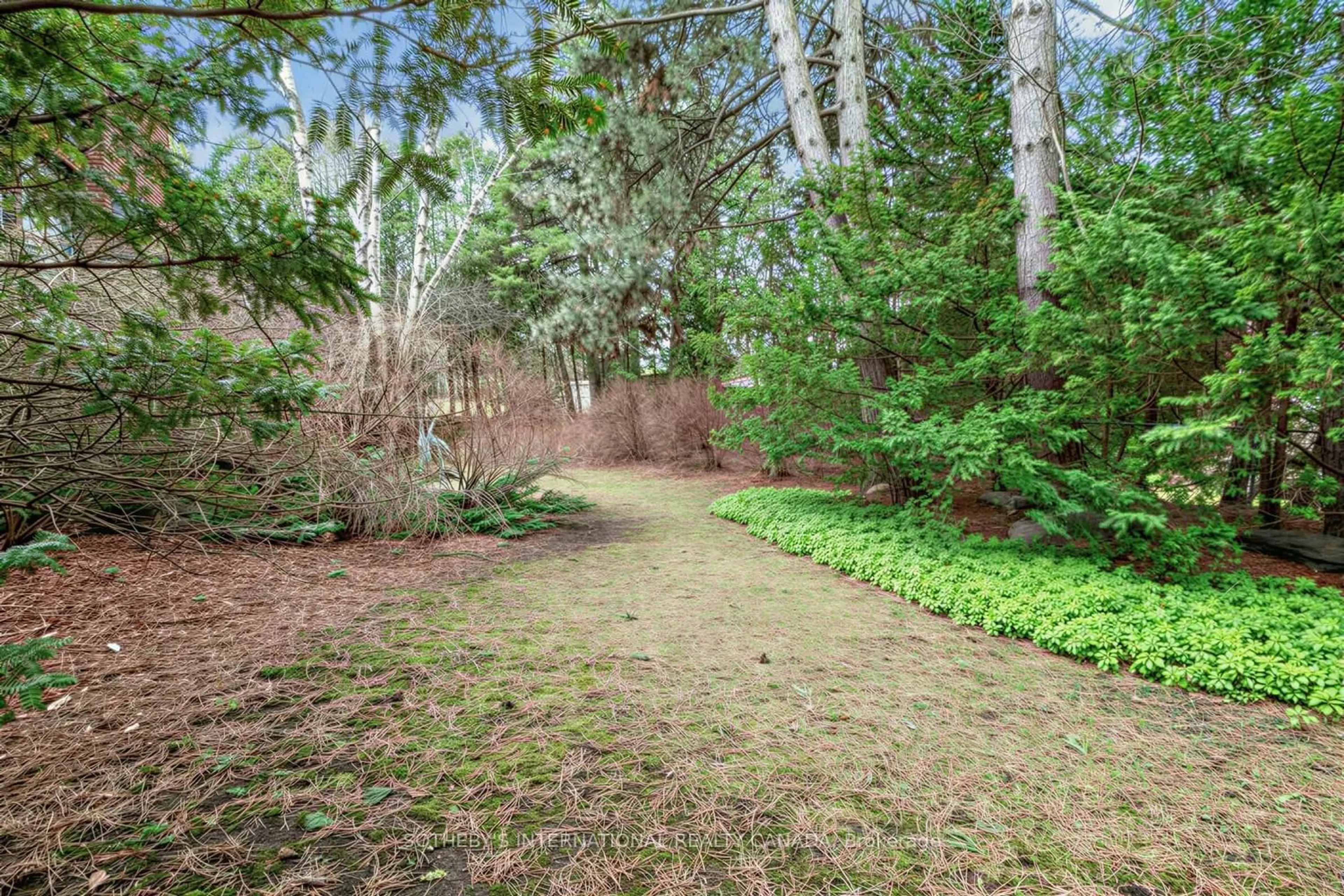 Patio, forest/trees view for 16 Royal Oak Dr, Toronto Ontario M3C 2M2