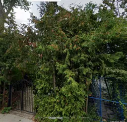 history photo preview