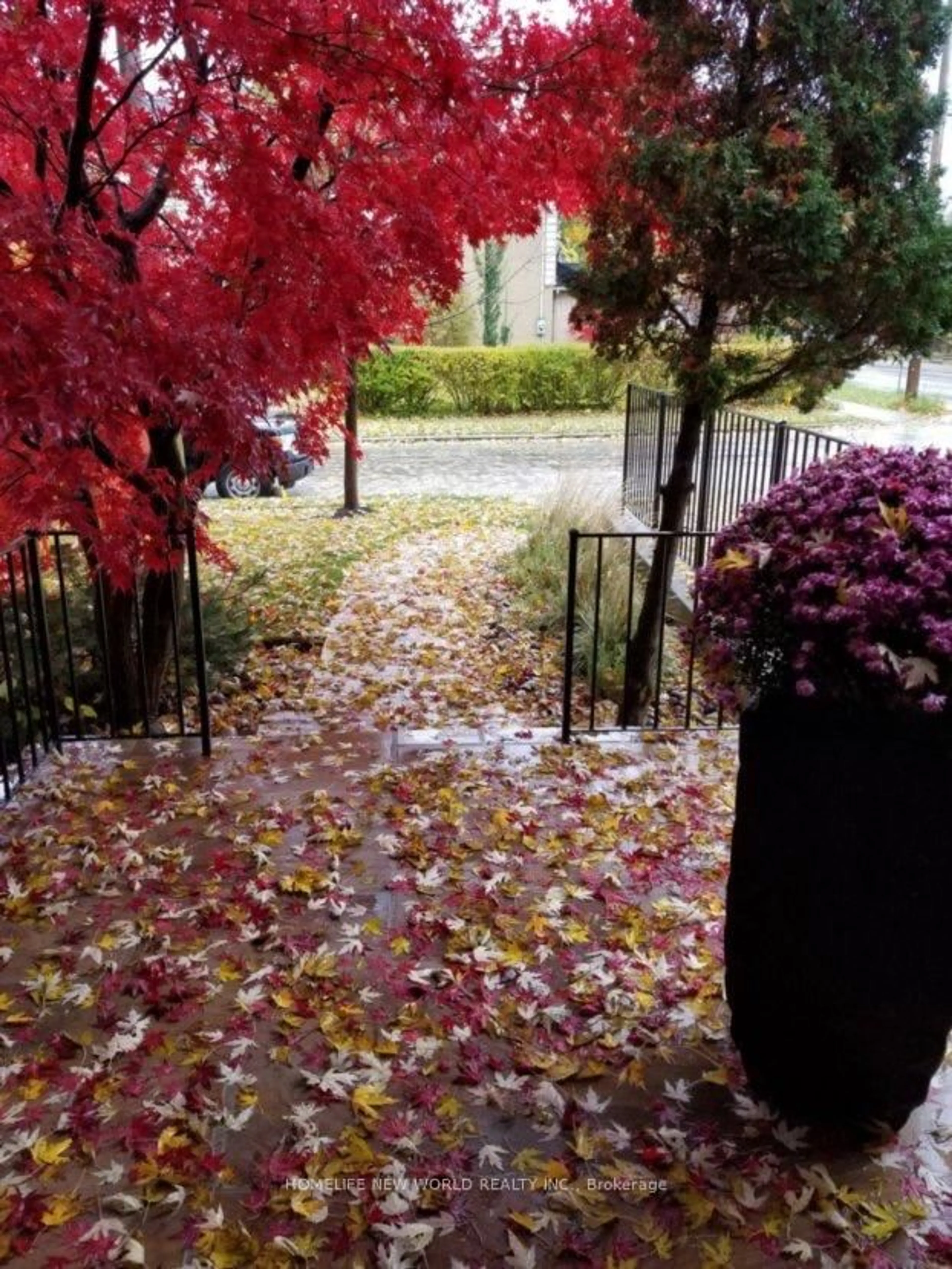 Patio, street for 594 Woburn Ave, Toronto Ontario M5M 1L9