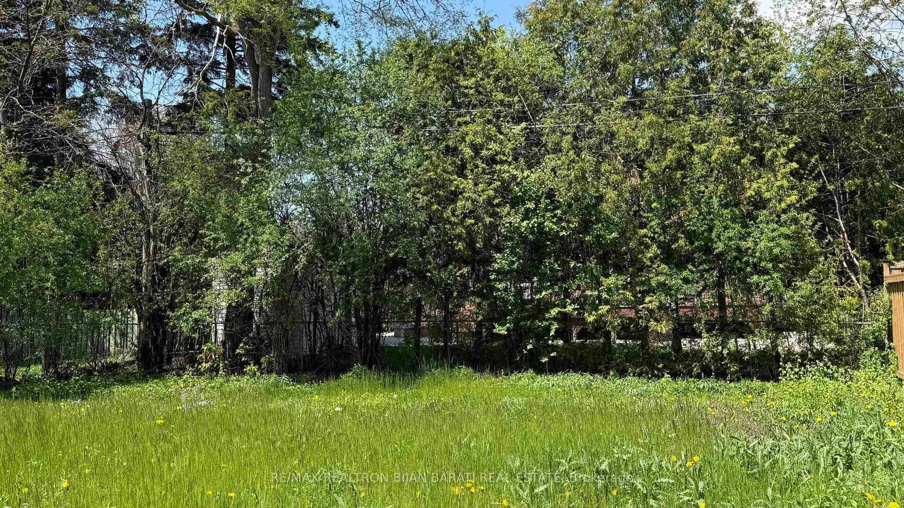 A pic from outside/outdoor area/front of a property/back of a property/a pic from drone, forest/trees view for 128 Santa Barbara Rd, Toronto Ontario M2N 2C5