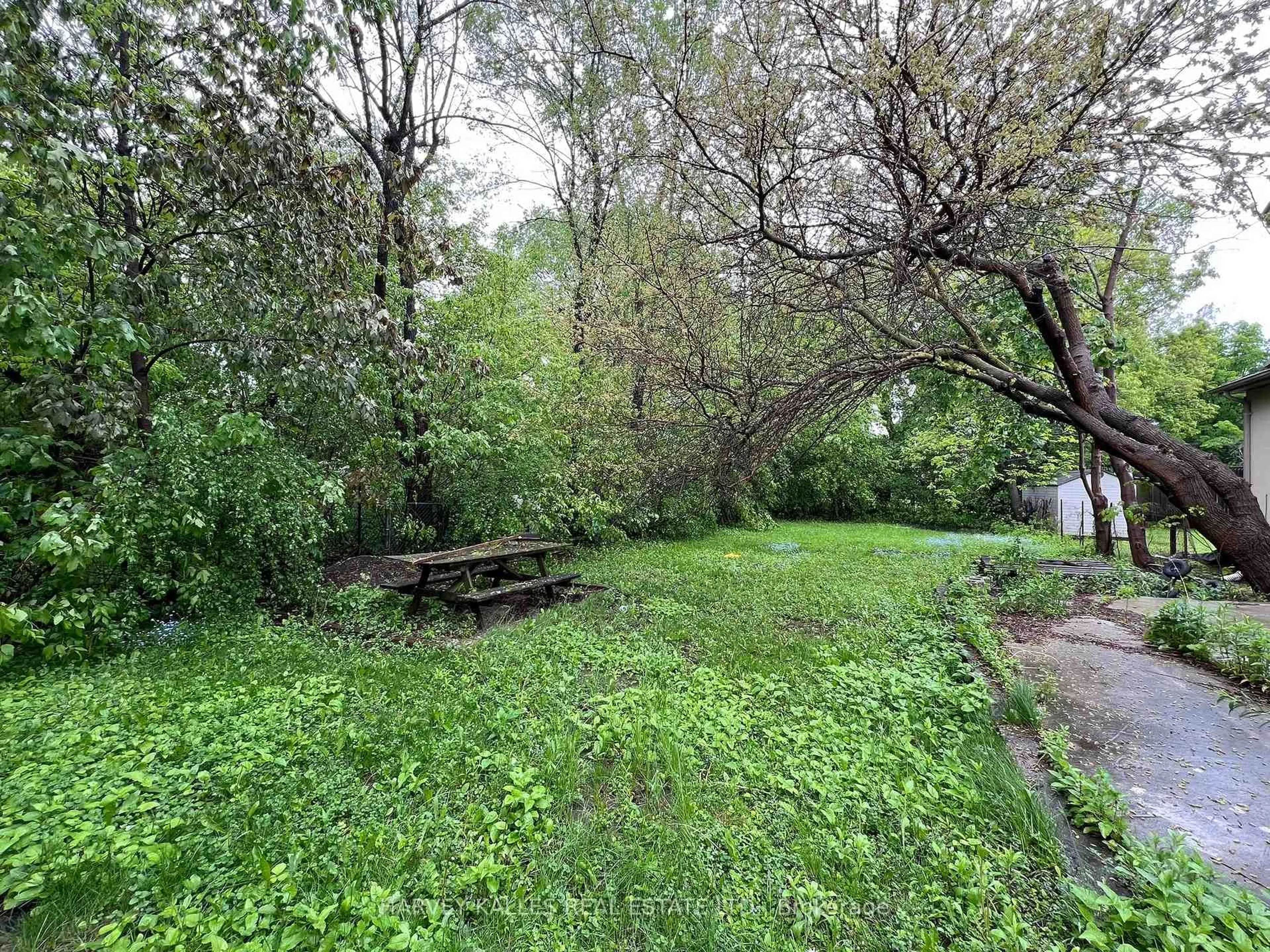 Patio, forest/trees view for 112 Allingham Gdns, Toronto Ontario M3H 1Y2