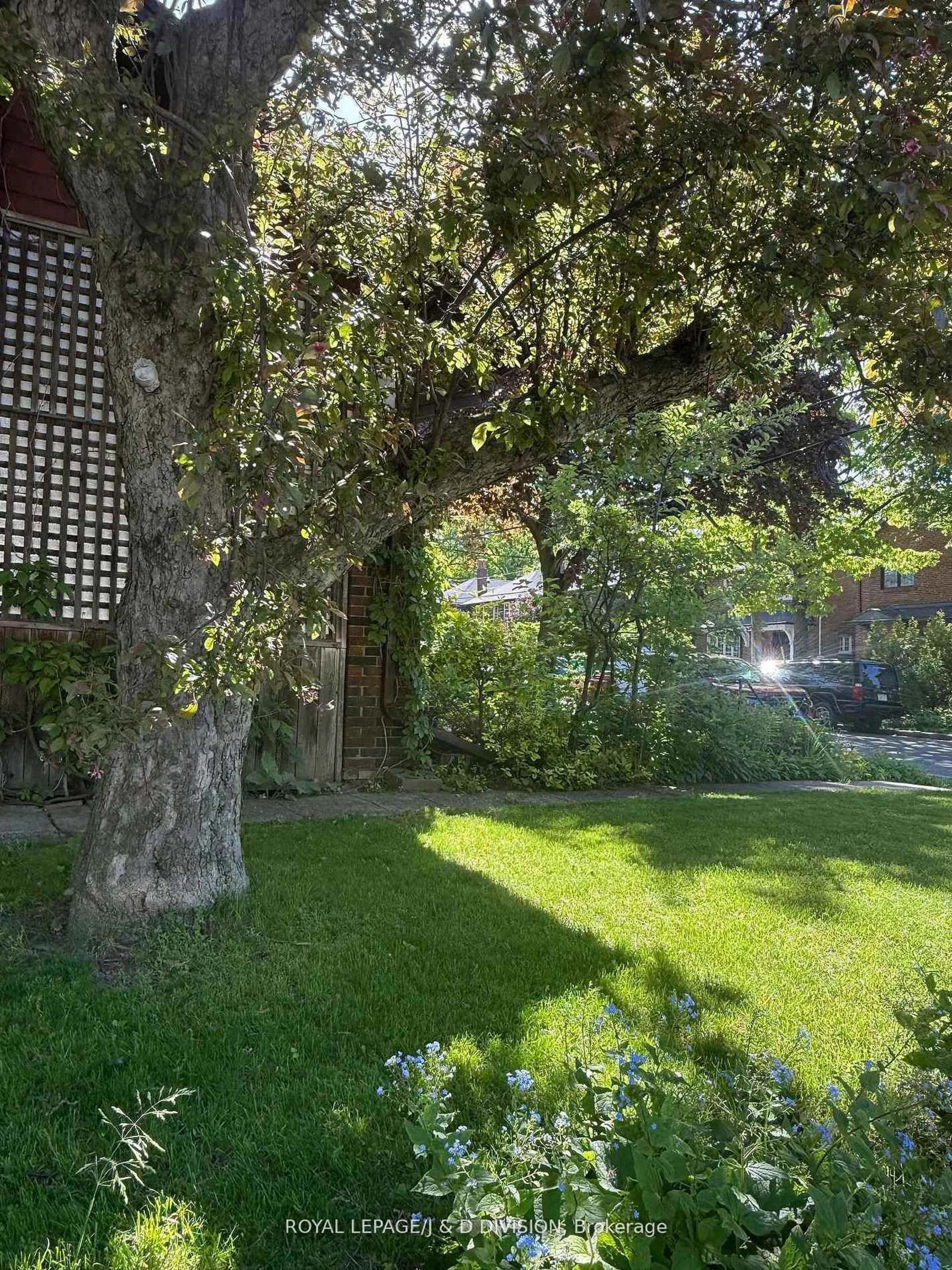 Patio, forest/trees view for 112 Rose Park Dr, Toronto Ontario M4T 1R5