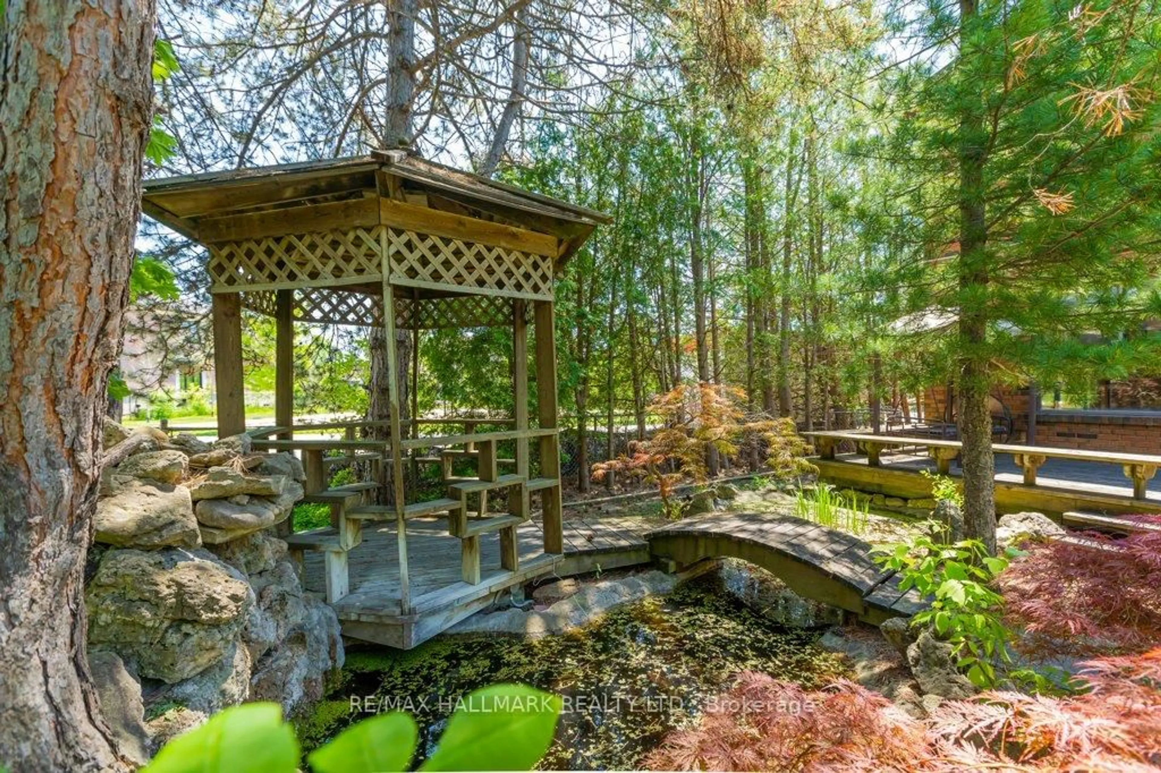 Patio, forest/trees view for 13 Ballyconnor Crt, Toronto Ontario M2M 4C5