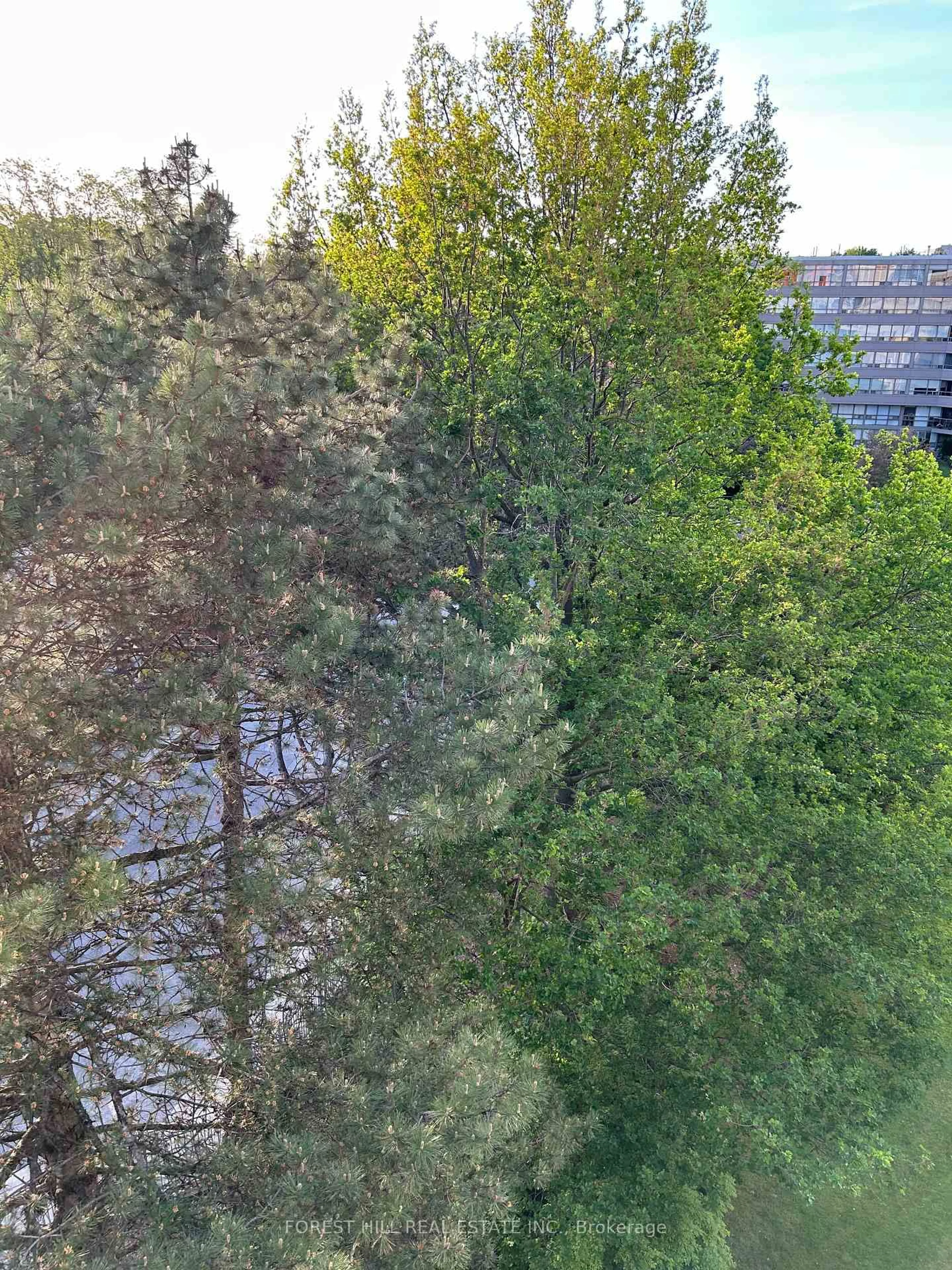A pic from outside/outdoor area/front of a property/back of a property/a pic from drone, forest/trees view for 18 Lower Village Gate #602, Toronto Ontario M5P 3M1