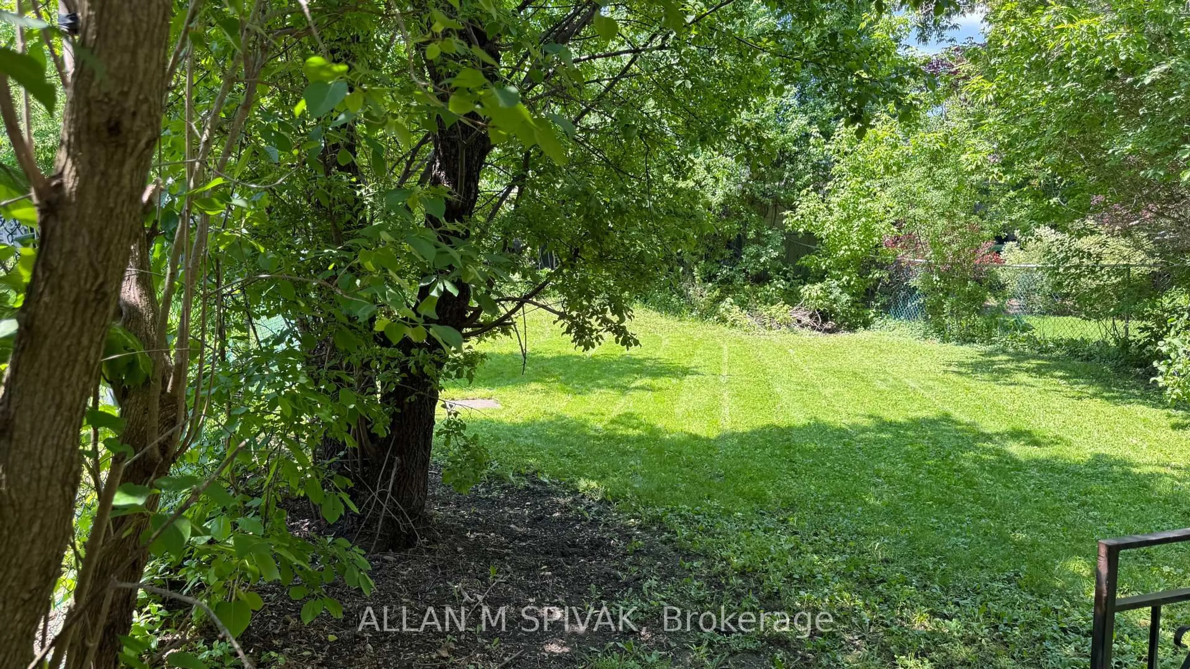 A pic from outside/outdoor area/front of a property/back of a property/a pic from drone, forest/trees view for 140 Chelmsford Ave, Toronto Ontario M2R 2W4