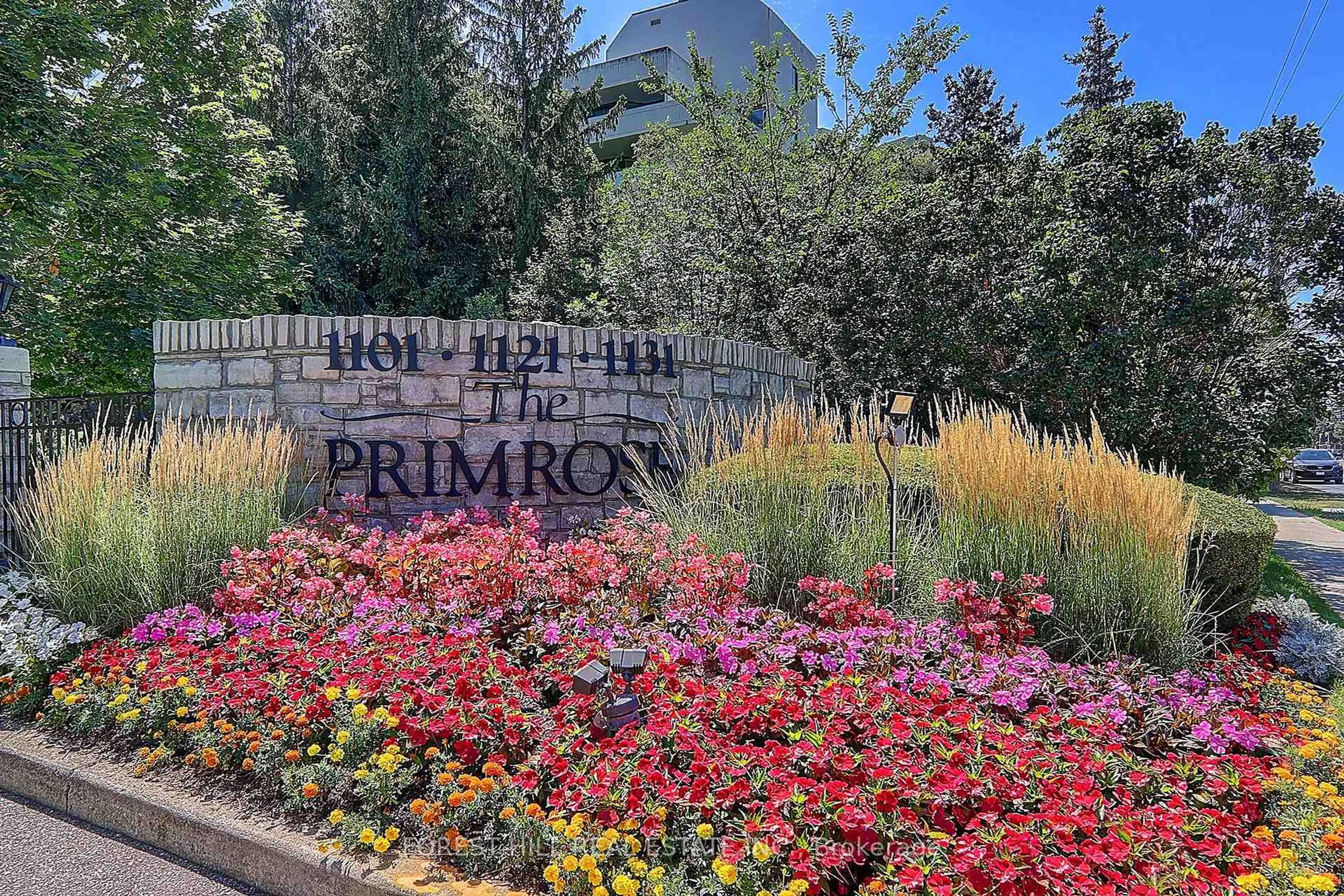 Patio, street for 1101 Steeles Ave #PH111, Toronto Ontario M2R 3W5