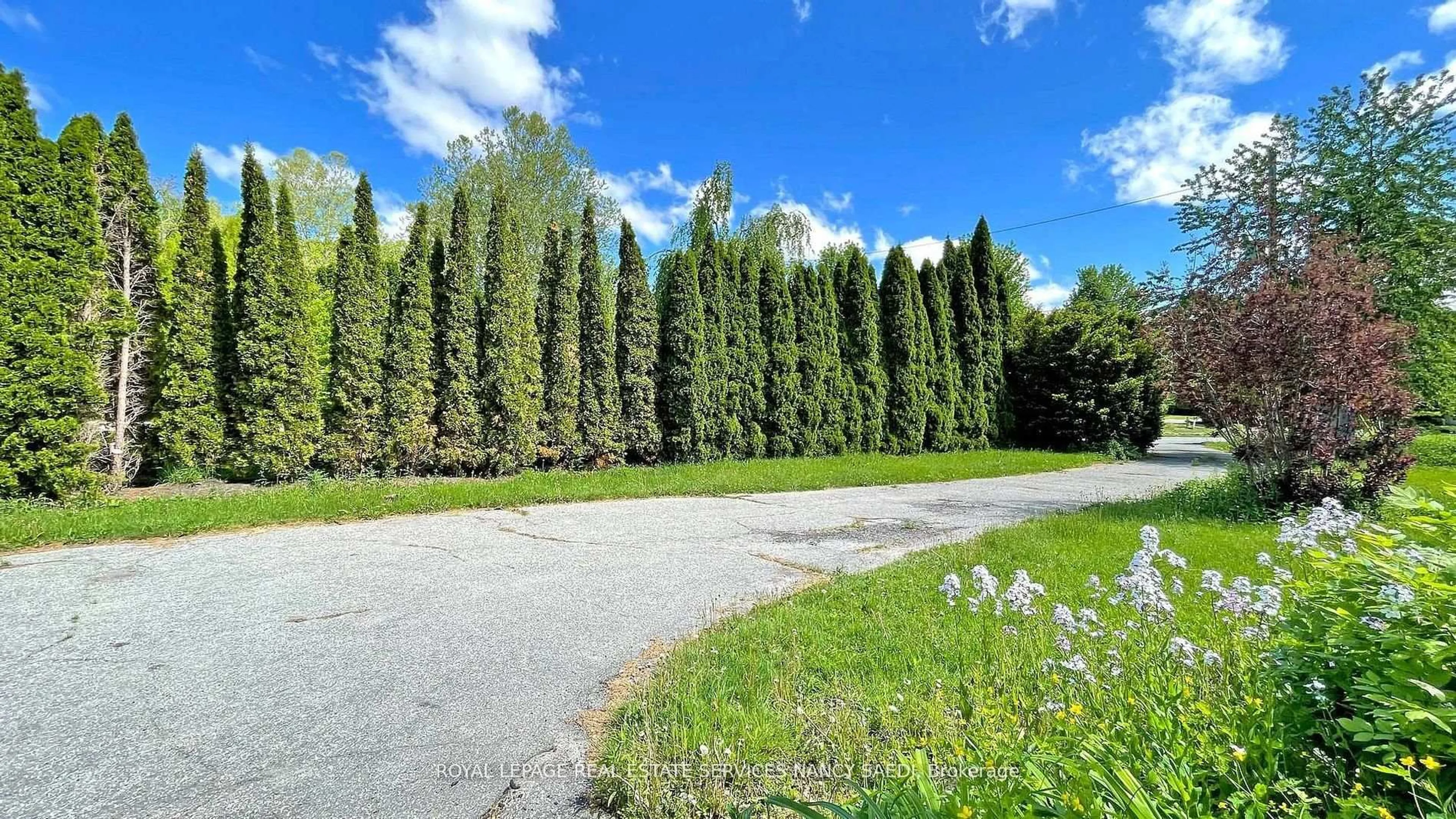 Patio, forest/trees view for 78 Arjay Cres, Toronto Ontario M2L 1C7