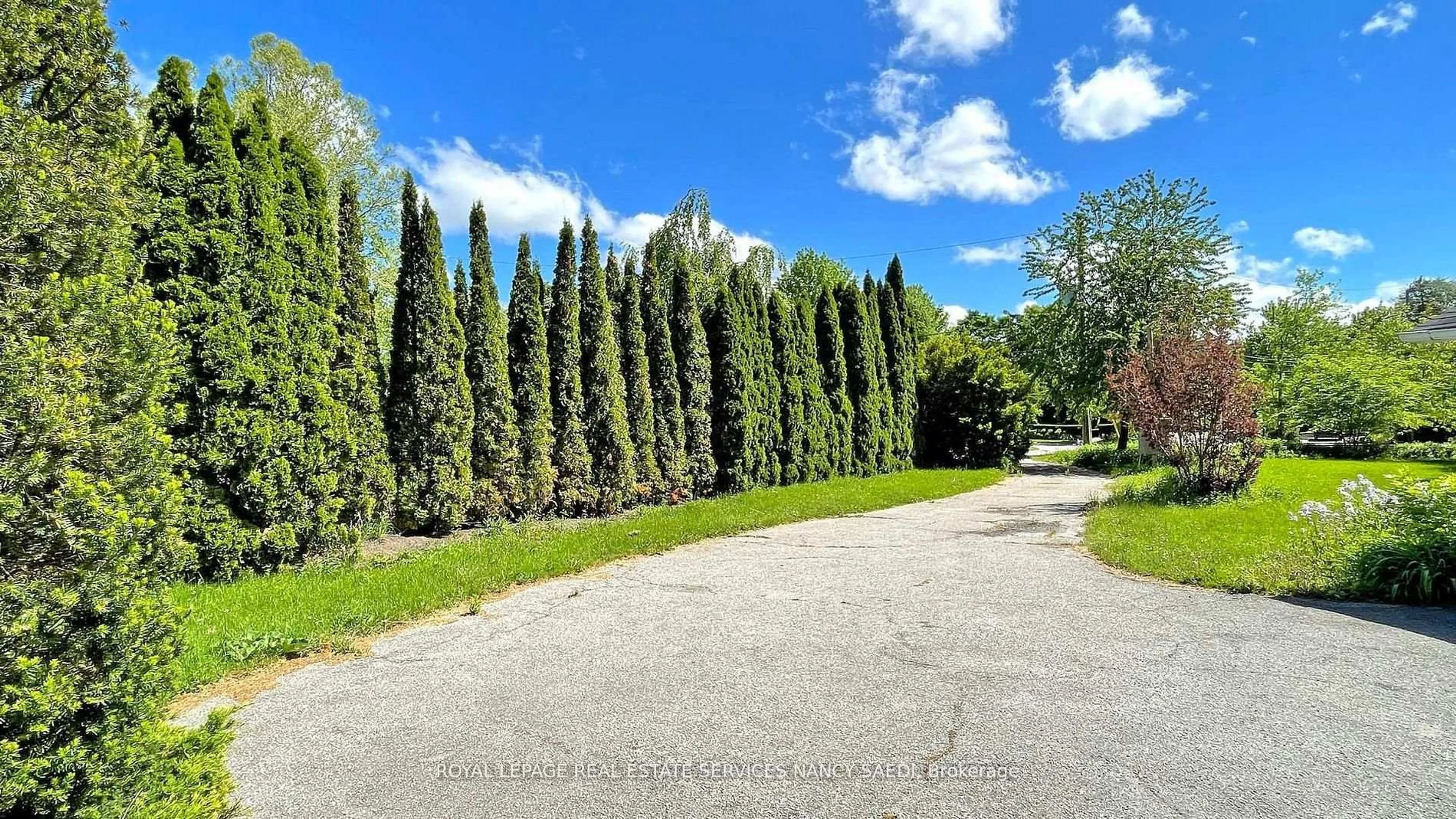 A pic from outside/outdoor area/front of a property/back of a property/a pic from drone, forest/trees view for 78 Arjay Cres, Toronto Ontario M2L 1C7