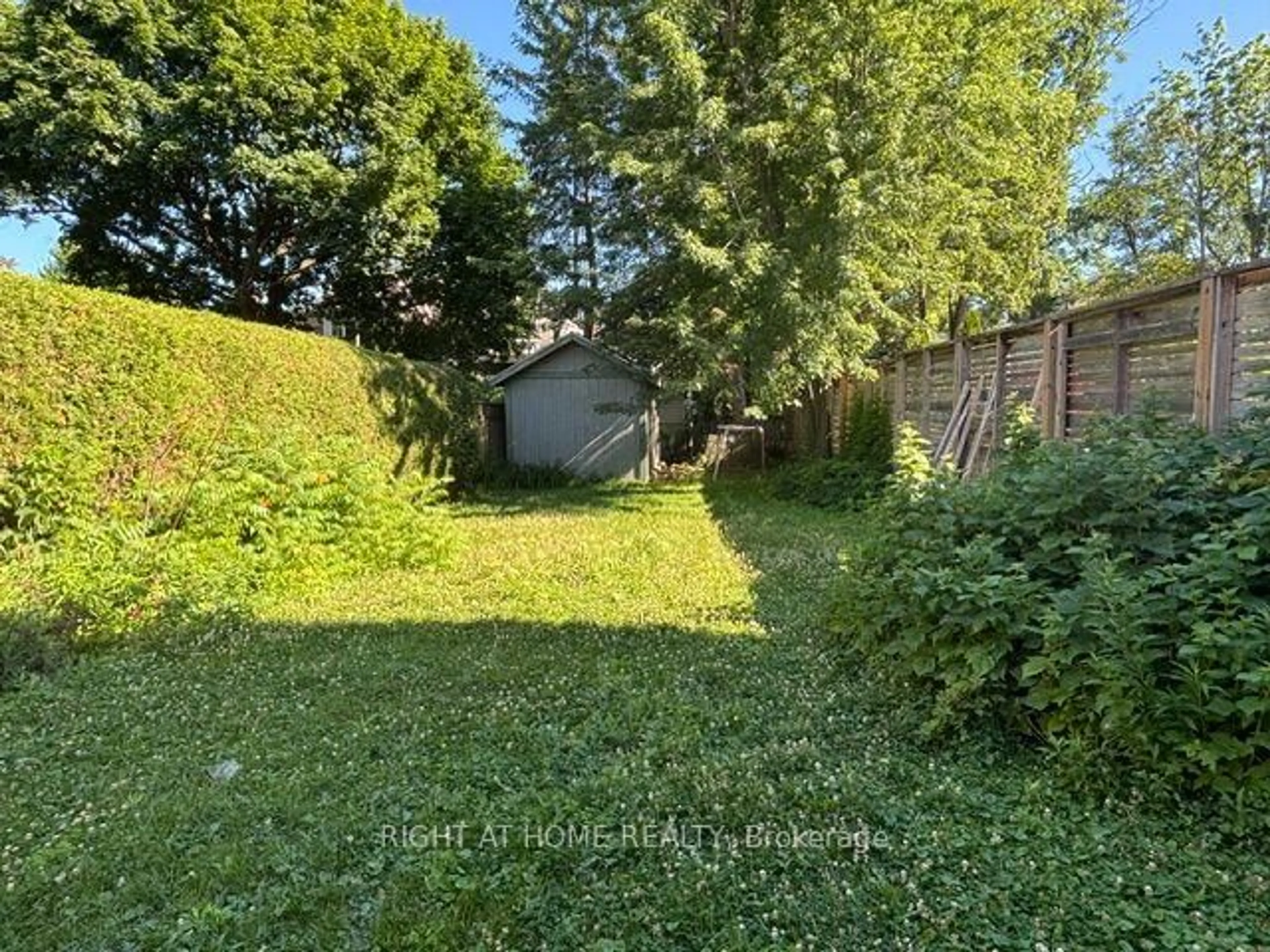 A pic from outside/outdoor area/front of a property/back of a property/a pic from drone, forest/trees view for 77 St Germain Ave, Toronto Ontario M5M 1V9