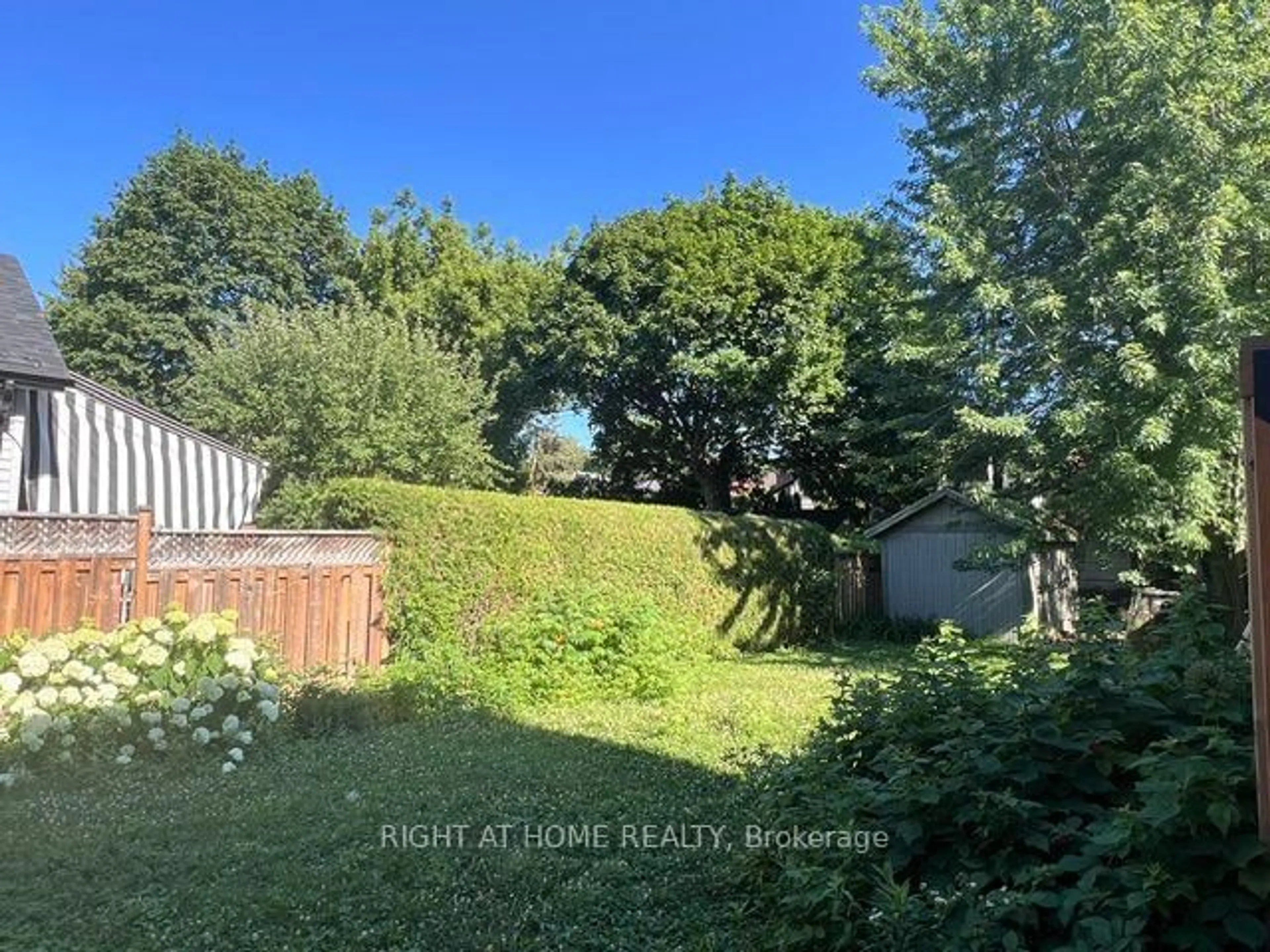 A pic from outside/outdoor area/front of a property/back of a property/a pic from drone, forest/trees view for 77 St Germain Ave, Toronto Ontario M5M 1V9