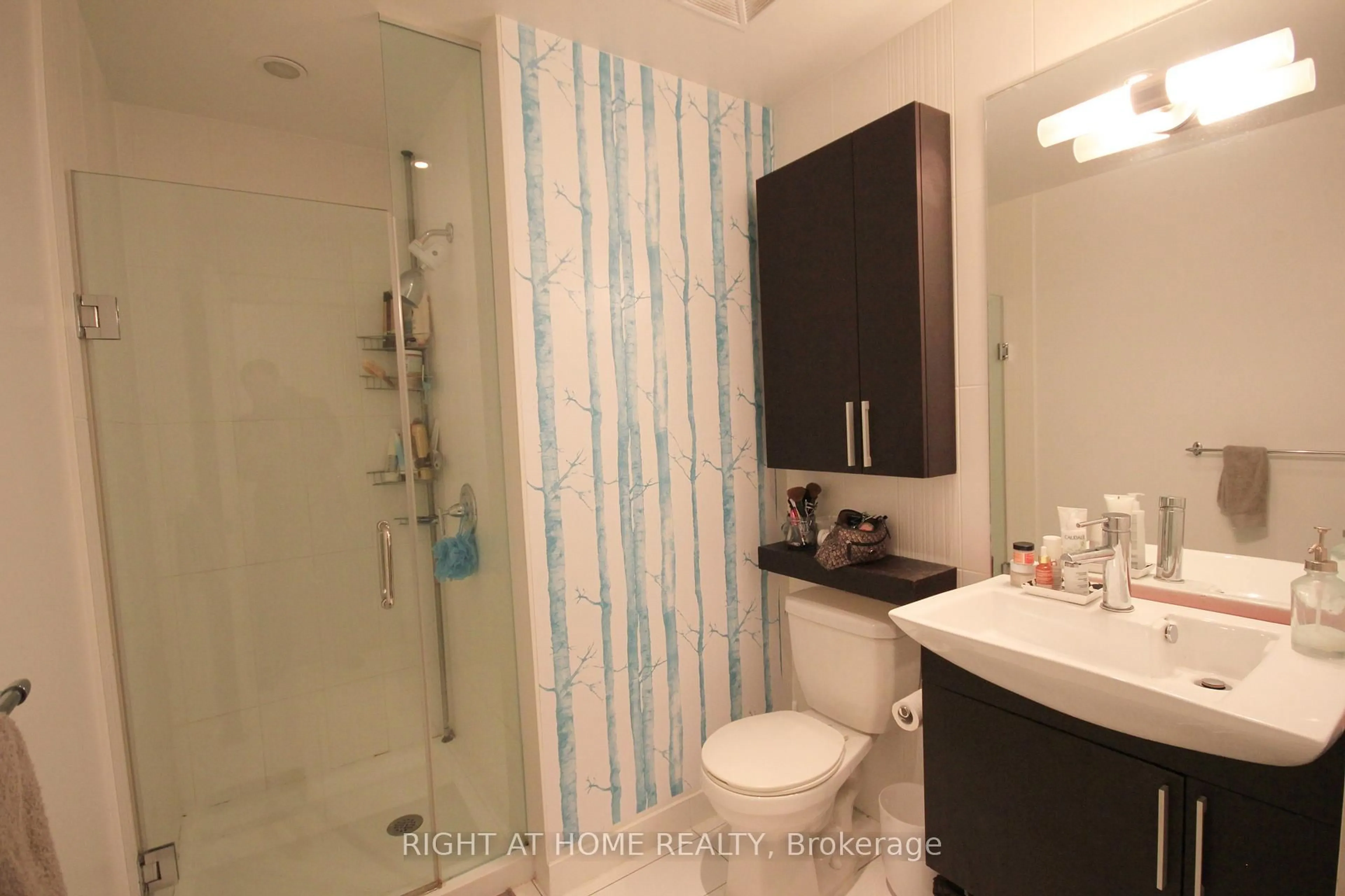 Standard bathroom, unknown for 25 Capreol Crt #310, Toronto Ontario M5V 3Z7