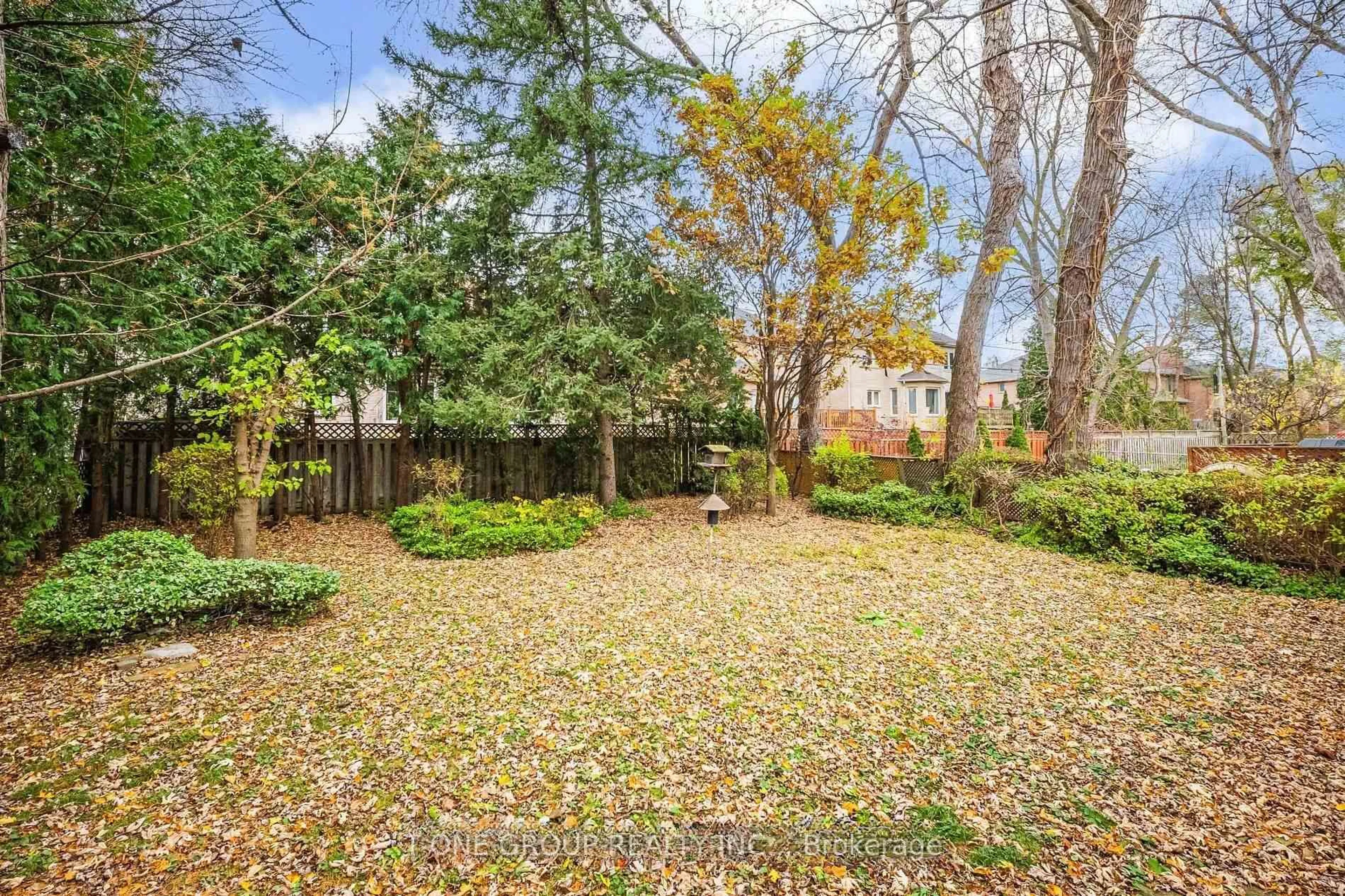 Patio, unknown for 302 Spring Garden Ave, Toronto Ontario M2N 3H3