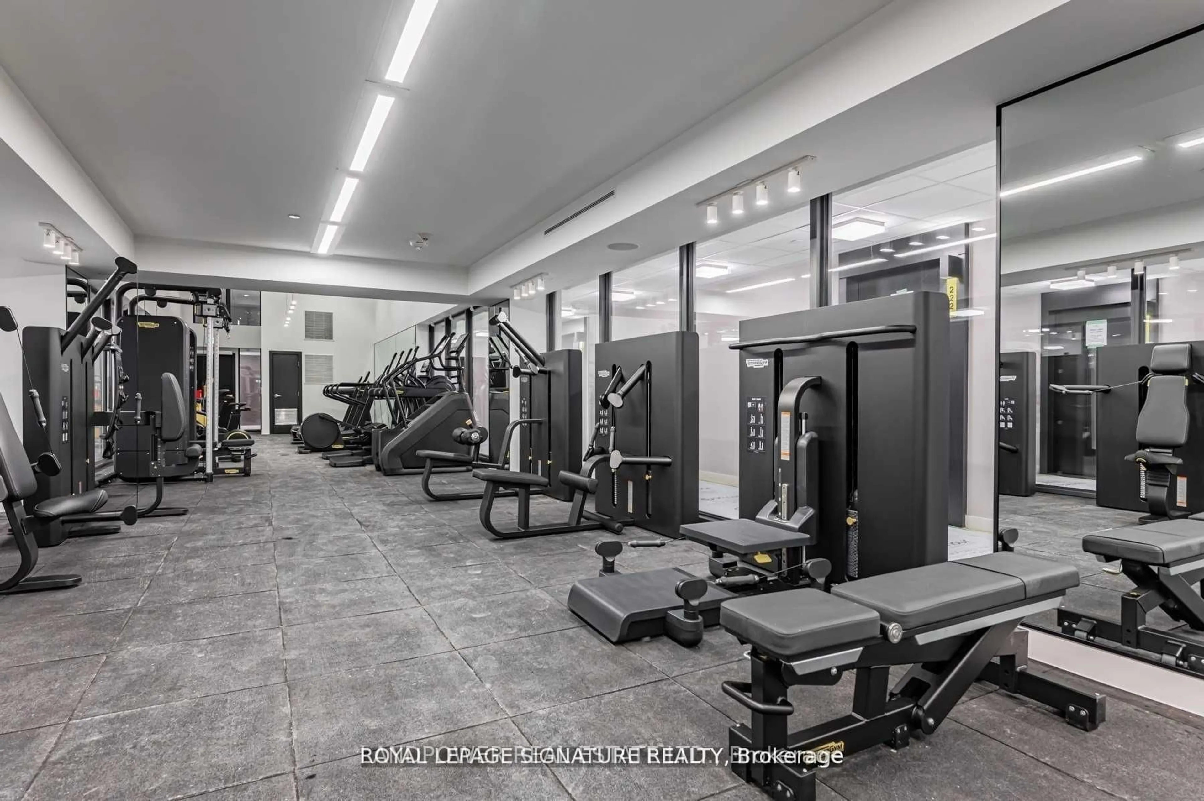 Gym or fitness room for 158 FRONT St #2308, Toronto Ontario M5A 1E5