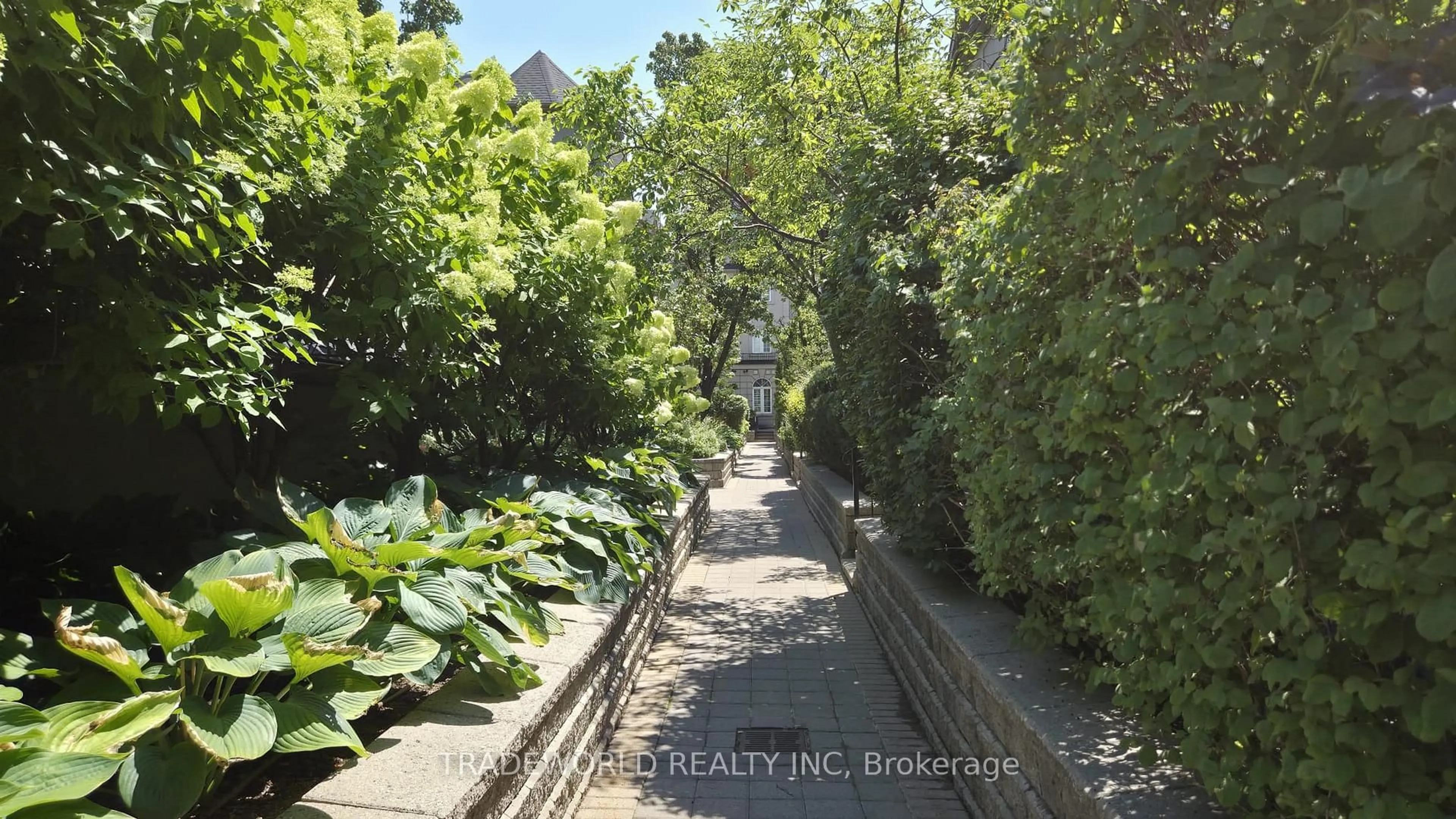 Patio, street for 37 Avondale Ave #513, Toronto Ontario M2N 7C1