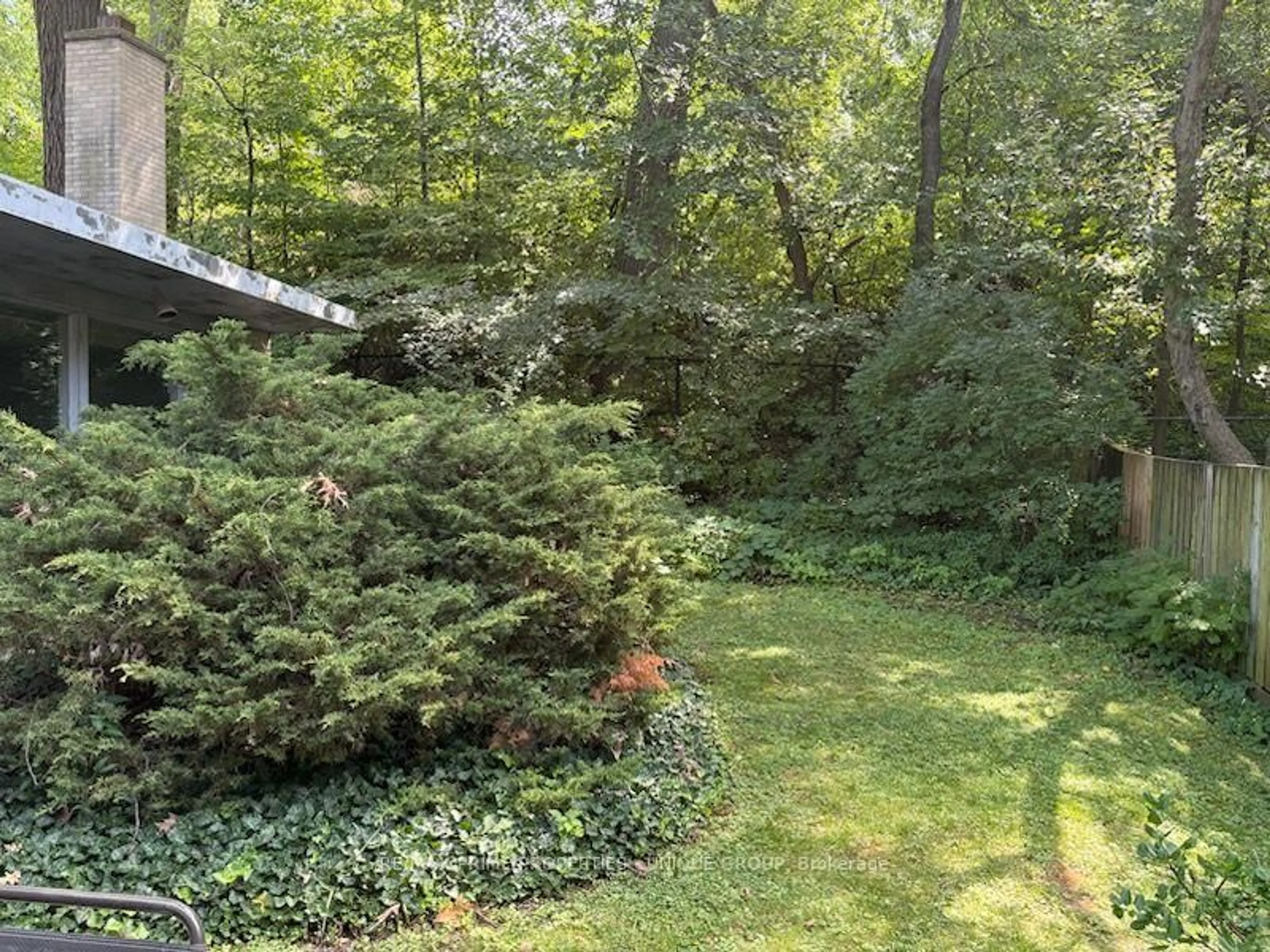 A pic from outside/outdoor area/front of a property/back of a property/a pic from drone, forest/trees view for 105 Park Rd, Toronto Ontario M4W 2N8