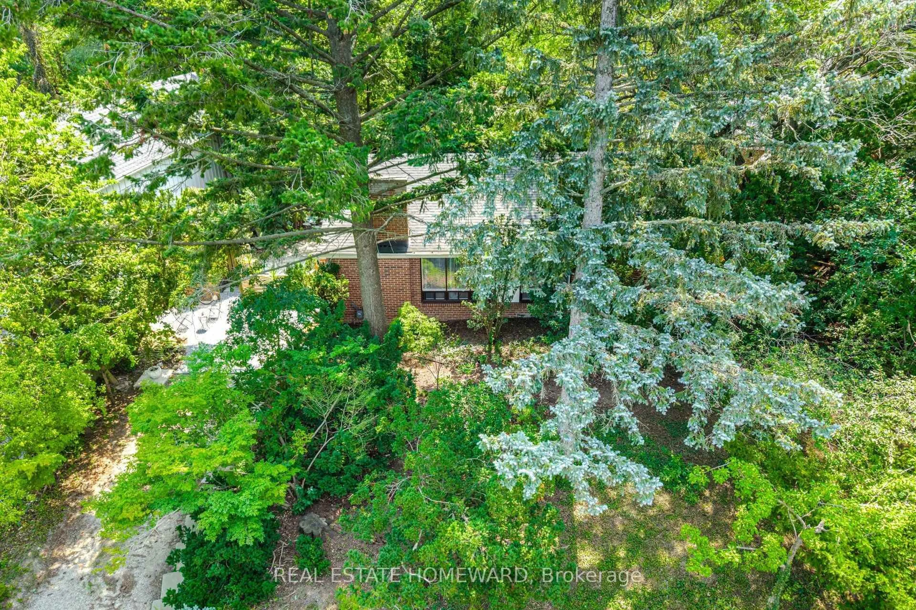 A pic from outside/outdoor area/front of a property/back of a property/a pic from drone, forest/trees view for 3 Shadwell Pl, Toronto Ontario M3B 1J4
