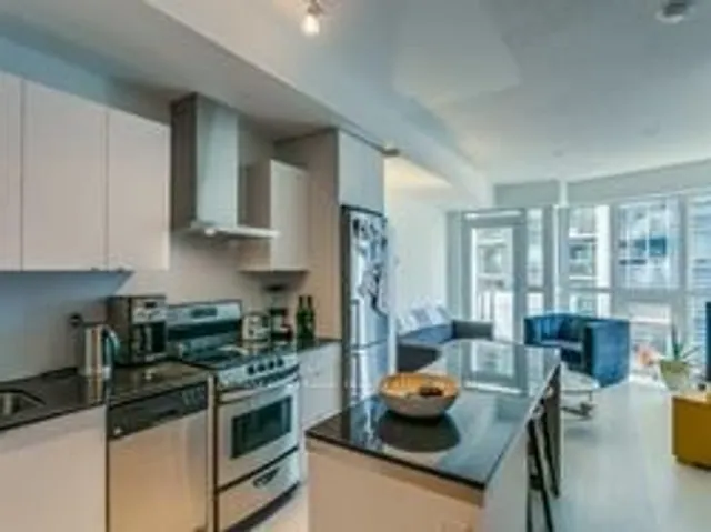51 East Liberty St #1003, Toronto 4