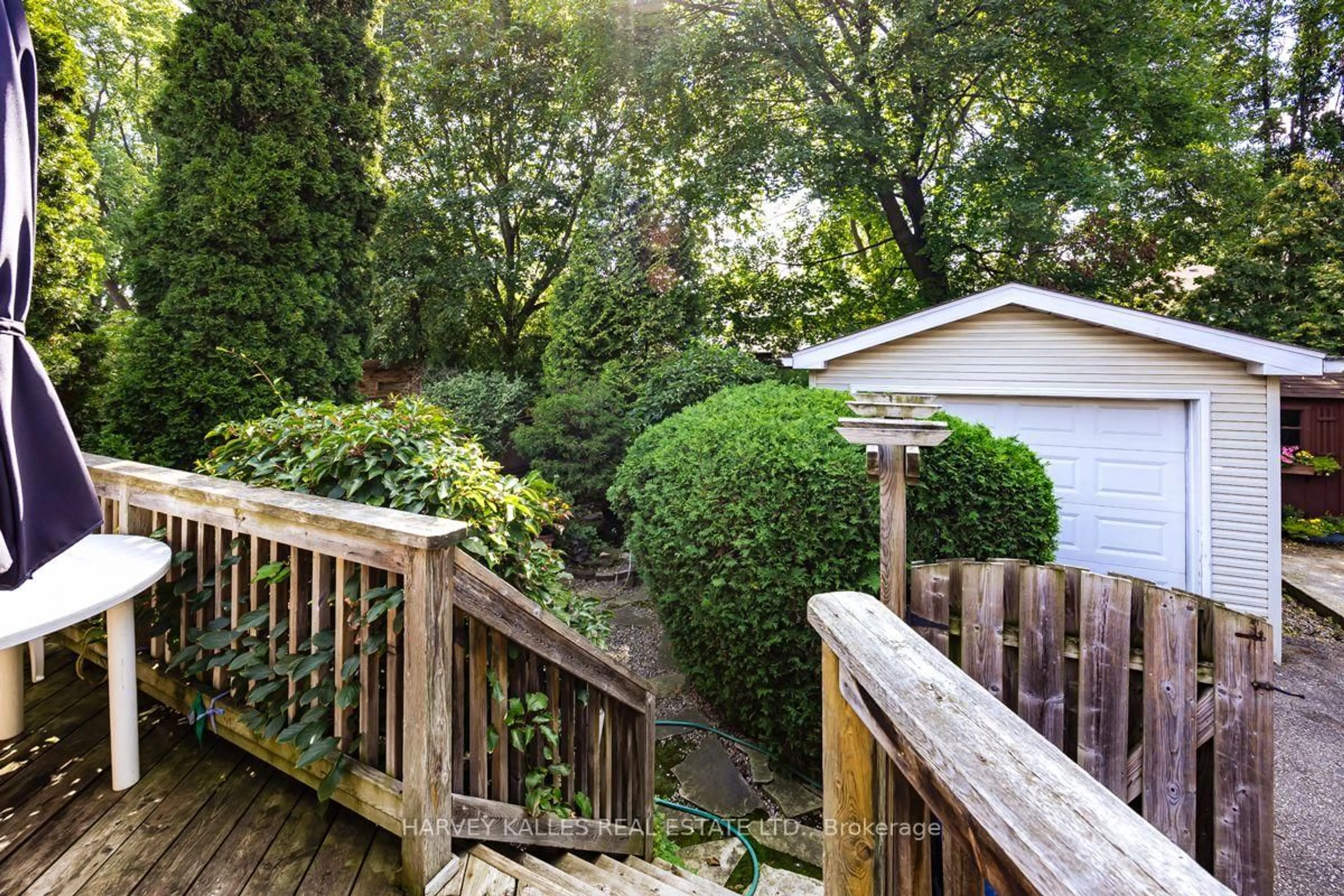 Patio, forest/trees view for 109 Old Orchard Grve, Toronto Ontario M5M 2E1