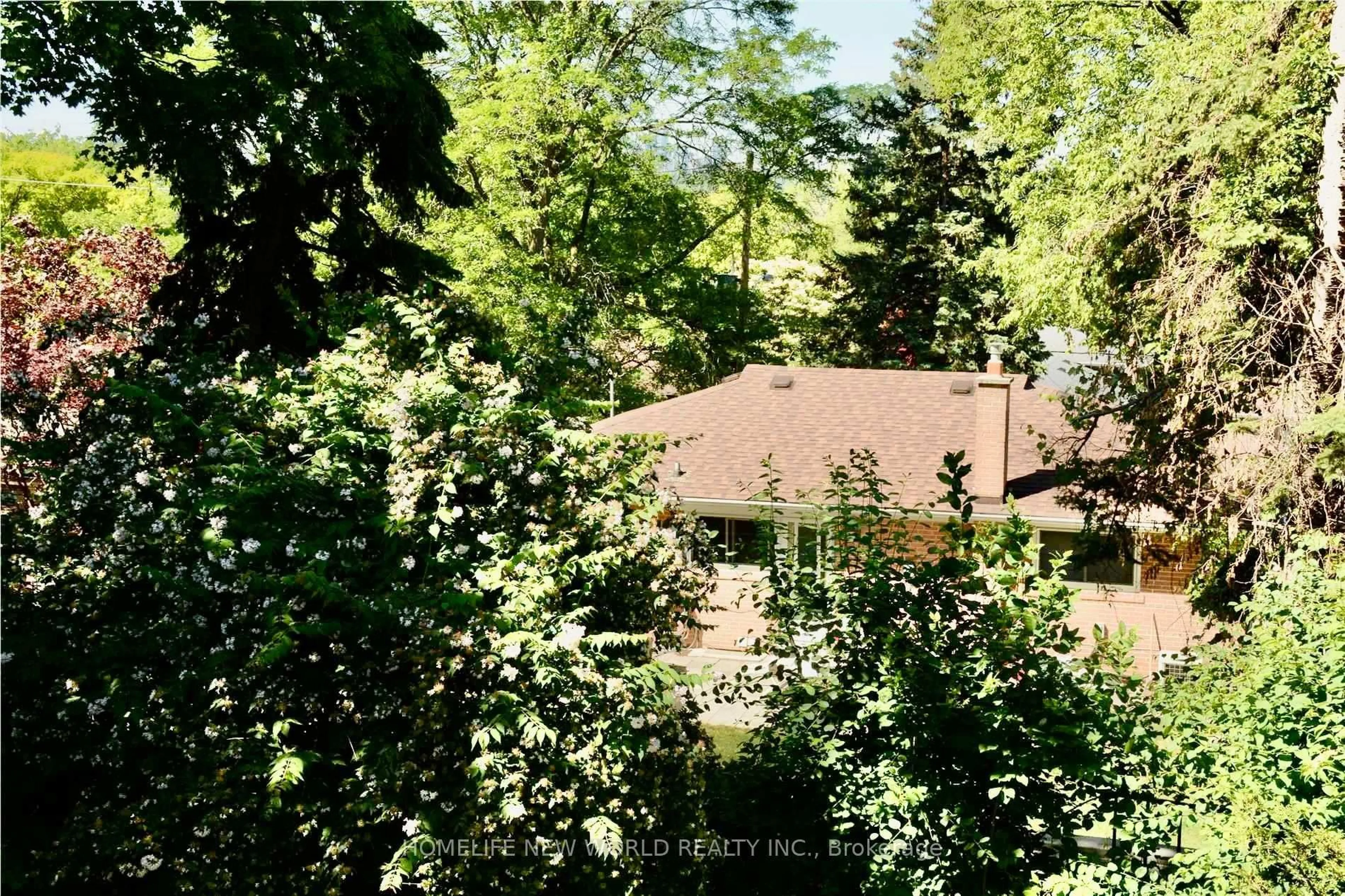 A pic from outside/outdoor area/front of a property/back of a property/a pic from drone, forest/trees view for 40 Brahms Ave, Toronto Ontario M2H 1H4