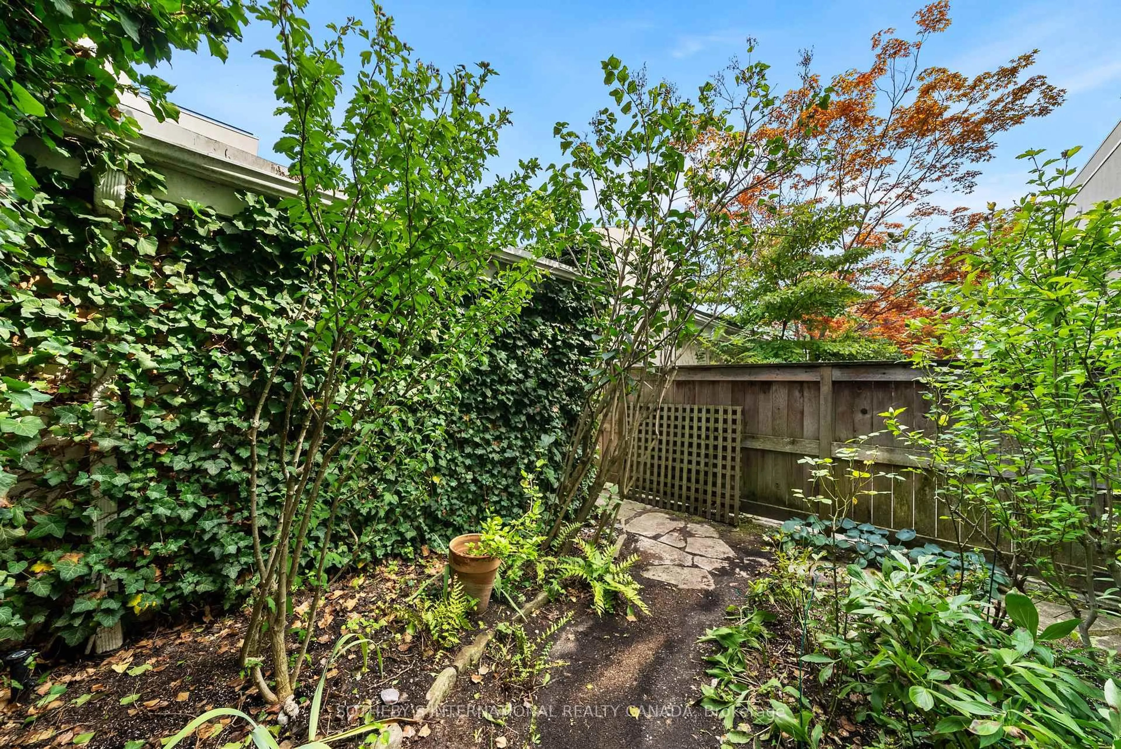 Patio, forest/trees view for 213 Walmer Rd, Toronto Ontario M5R 3P7
