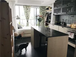 history photo preview