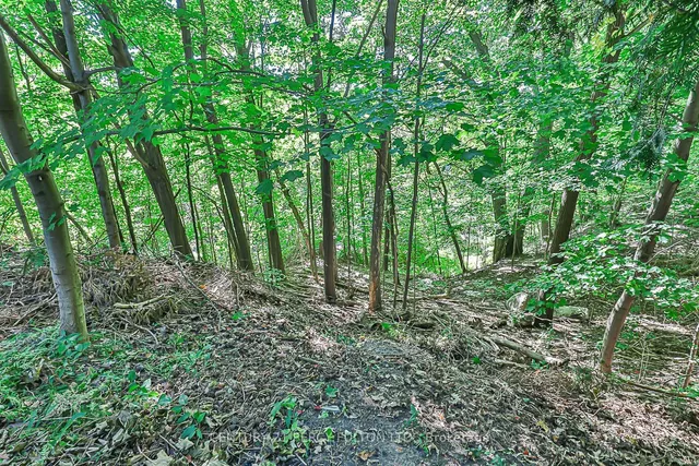Additional property image - 4 Page Ave