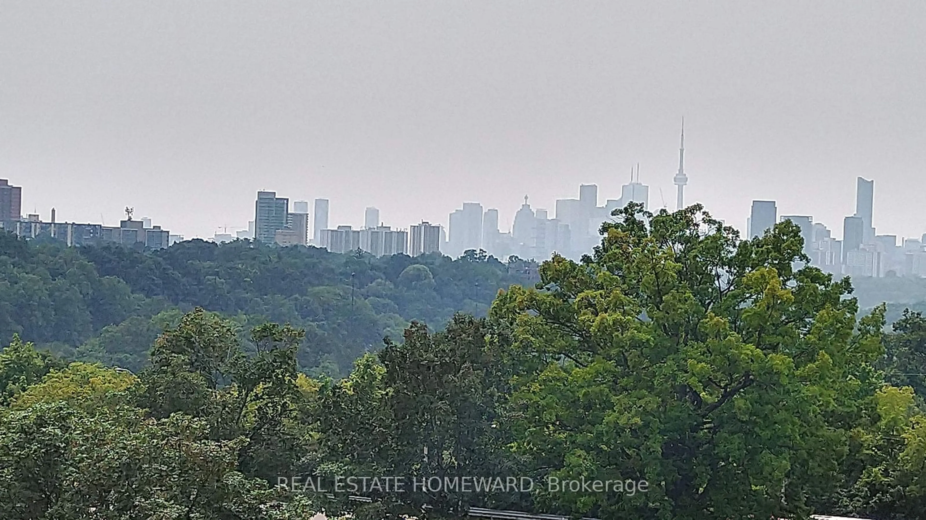 Forest view for 1 Leaside Park Dr #417, Toronto Ontario M4H 1R1