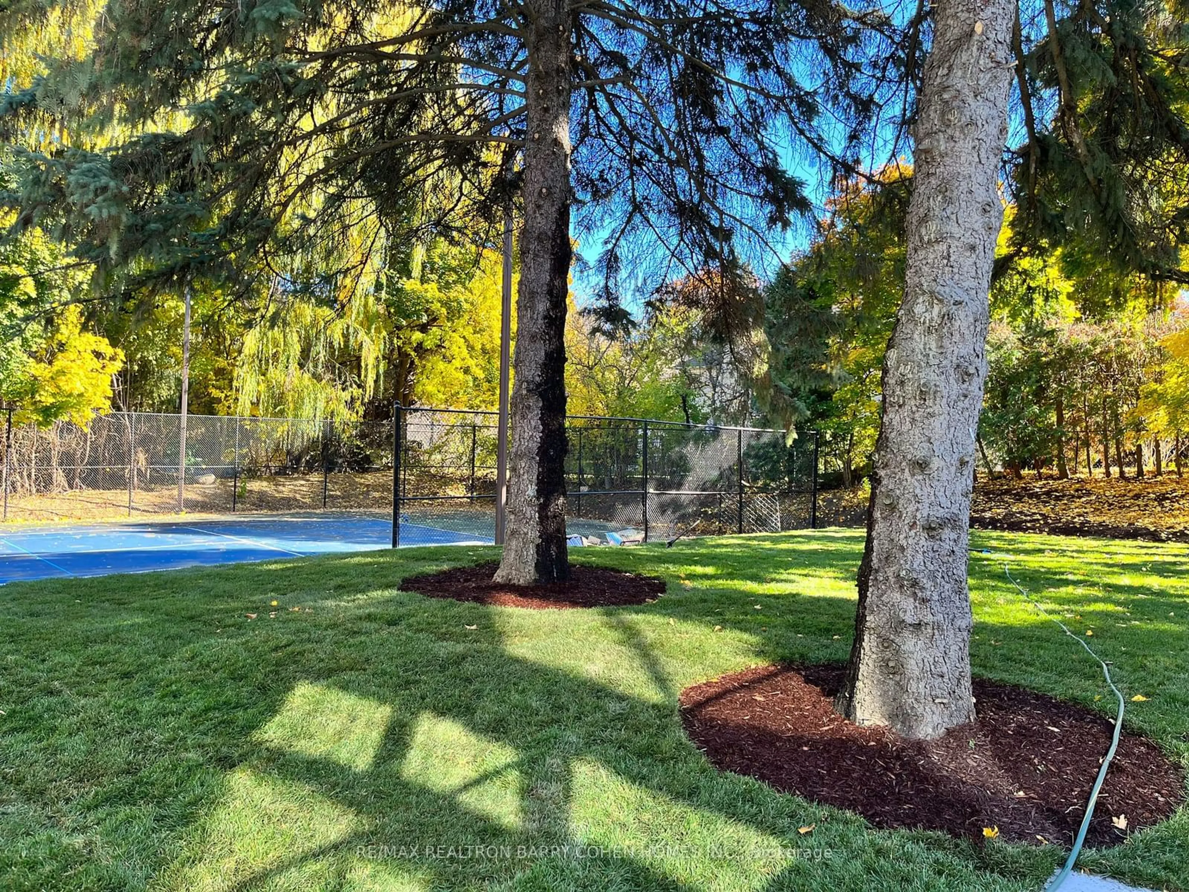 Fenced yard for 103 Old Colony Rd, Toronto Ontario M2L 2K3