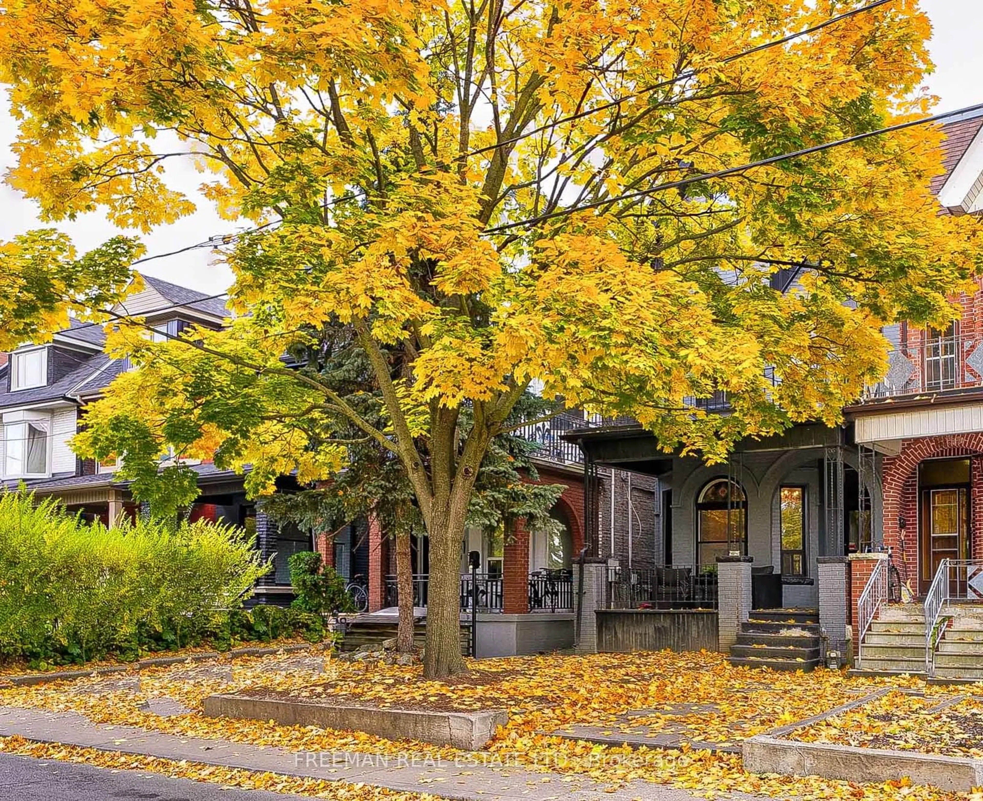 Patio, the street view for 433 Manning Ave, Toronto Ontario M6G 2V6