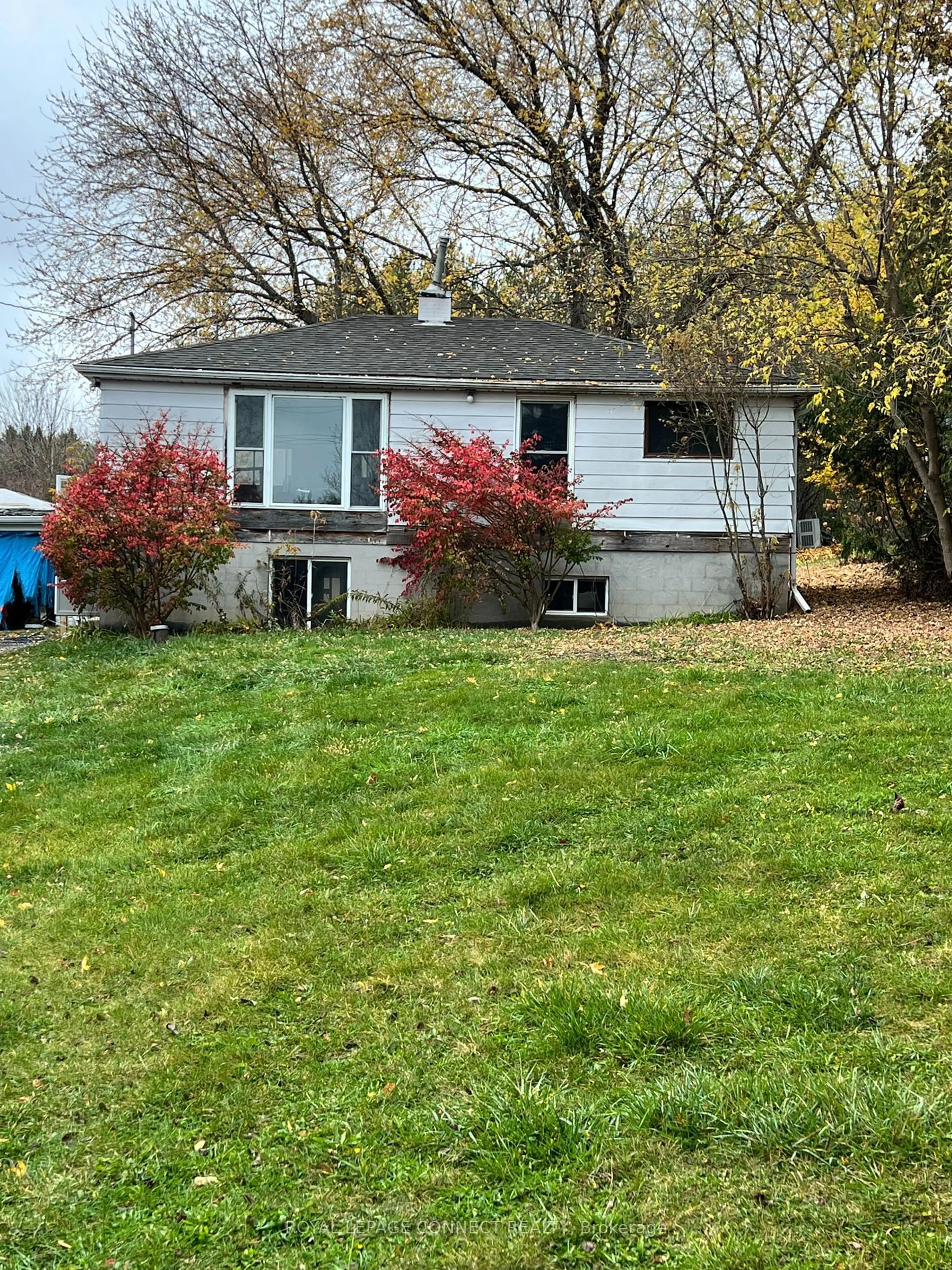 Frontside or backside of a home, the fenced backyard for 338 Carnegie Beach Rd, Scugog Ontario L9L 1B6