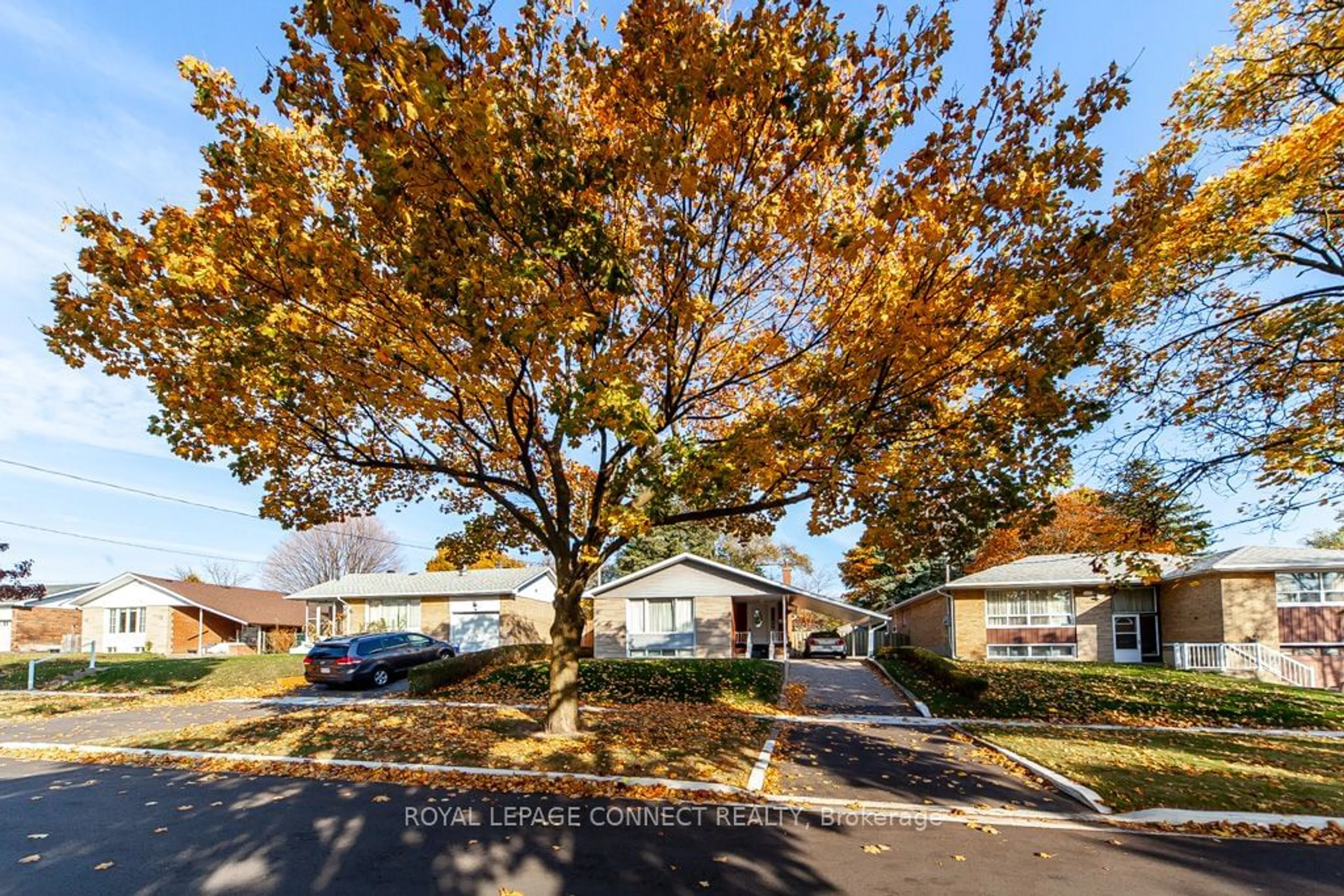 A pic from exterior of the house or condo, the street view for 545 Mccowan Rd, Toronto Ontario M1J 1J7