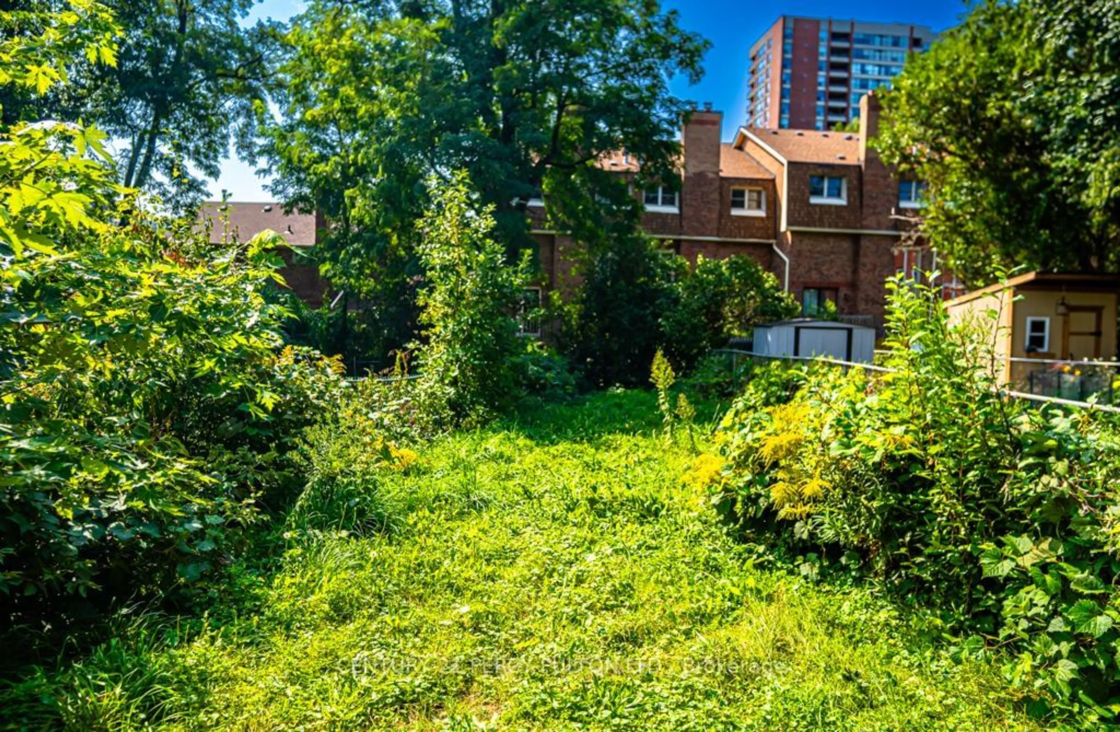 A pic from exterior of the house or condo, the fenced backyard for 22 Reidmount Ave, Toronto Ontario M1S 1B2