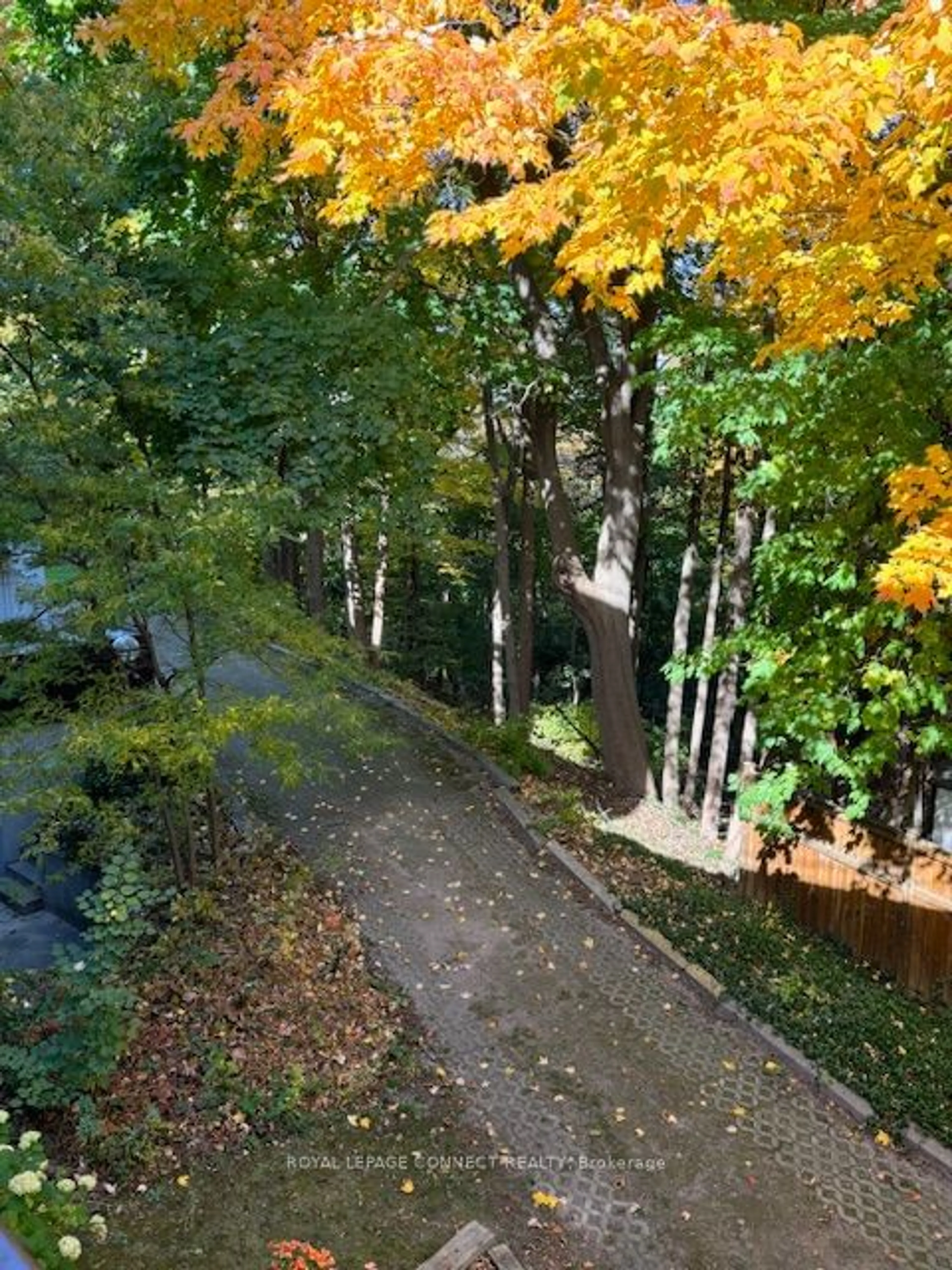 A pic from exterior of the house or condo, the street view for 50 Old Kingston Rd #5-213, Toronto Ontario M1E 4Y1