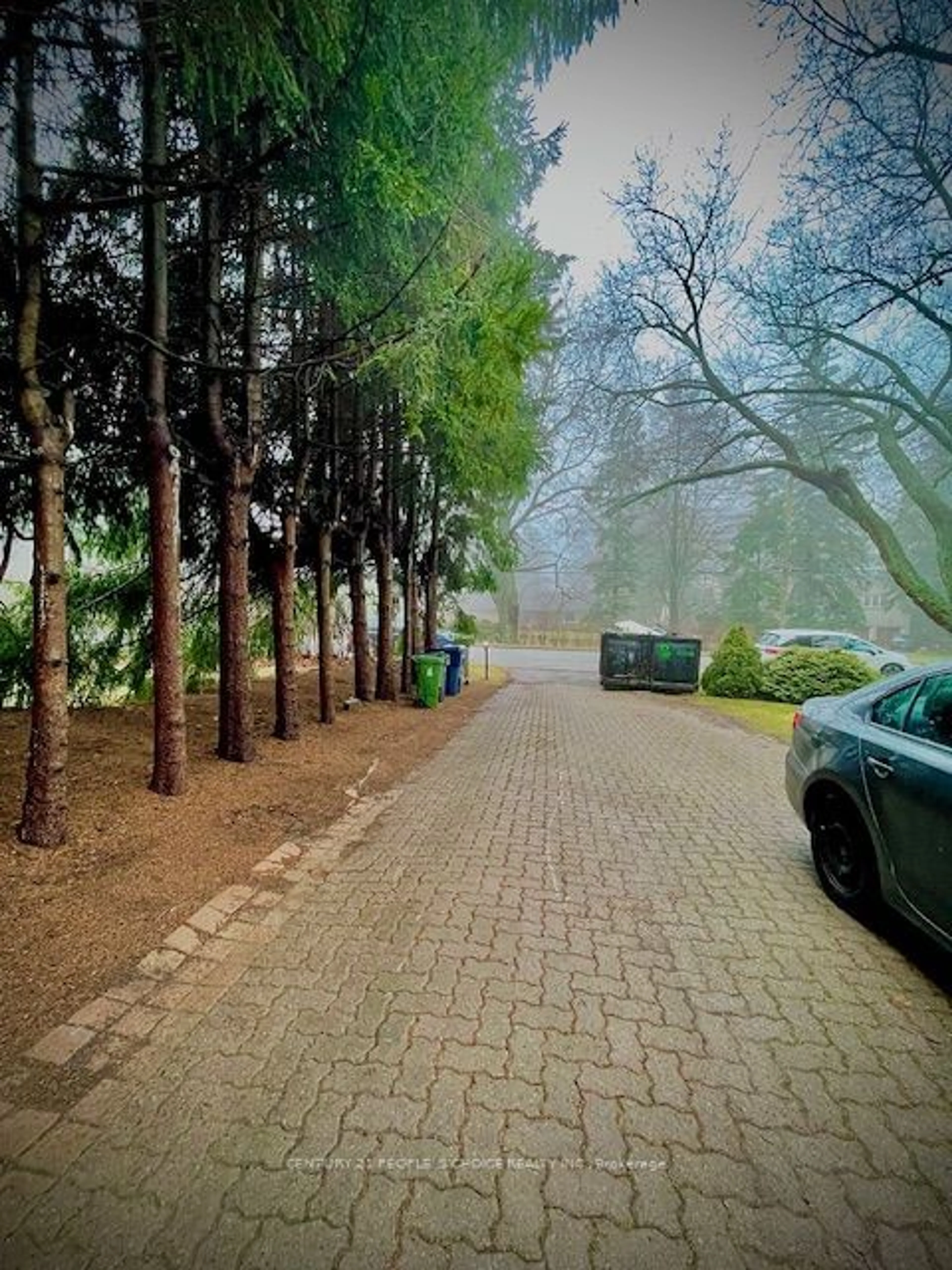 A pic from outside/outdoor area/front of a property/back of a property/a pic from drone, street for 16 Bellehaven Cres, Toronto Ontario M1M 1H3