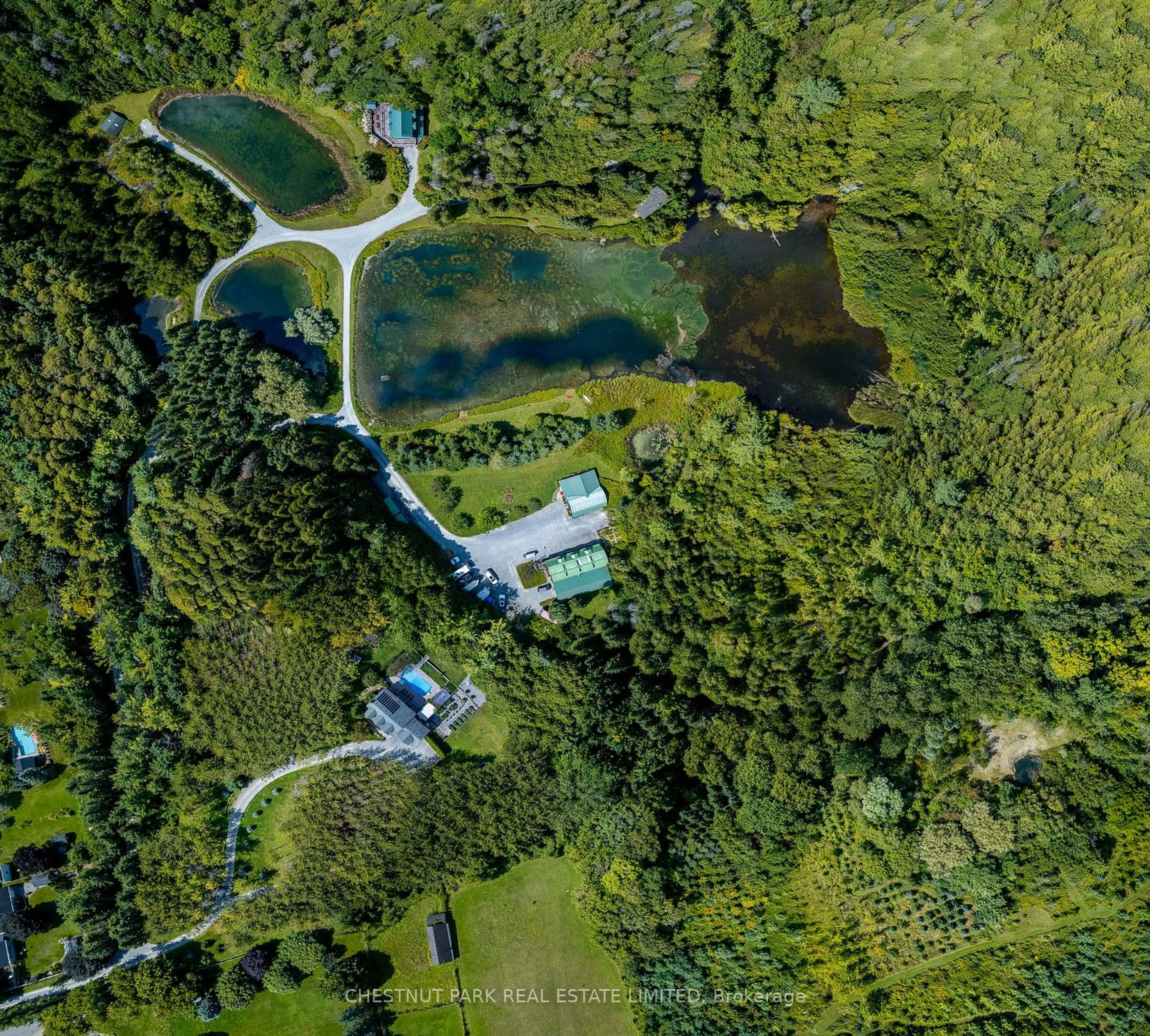 A pic from outside/outdoor area/front of a property/back of a property/a pic from drone, forest/trees view for 40 Hurd St, Oshawa Ontario L1H 0M3