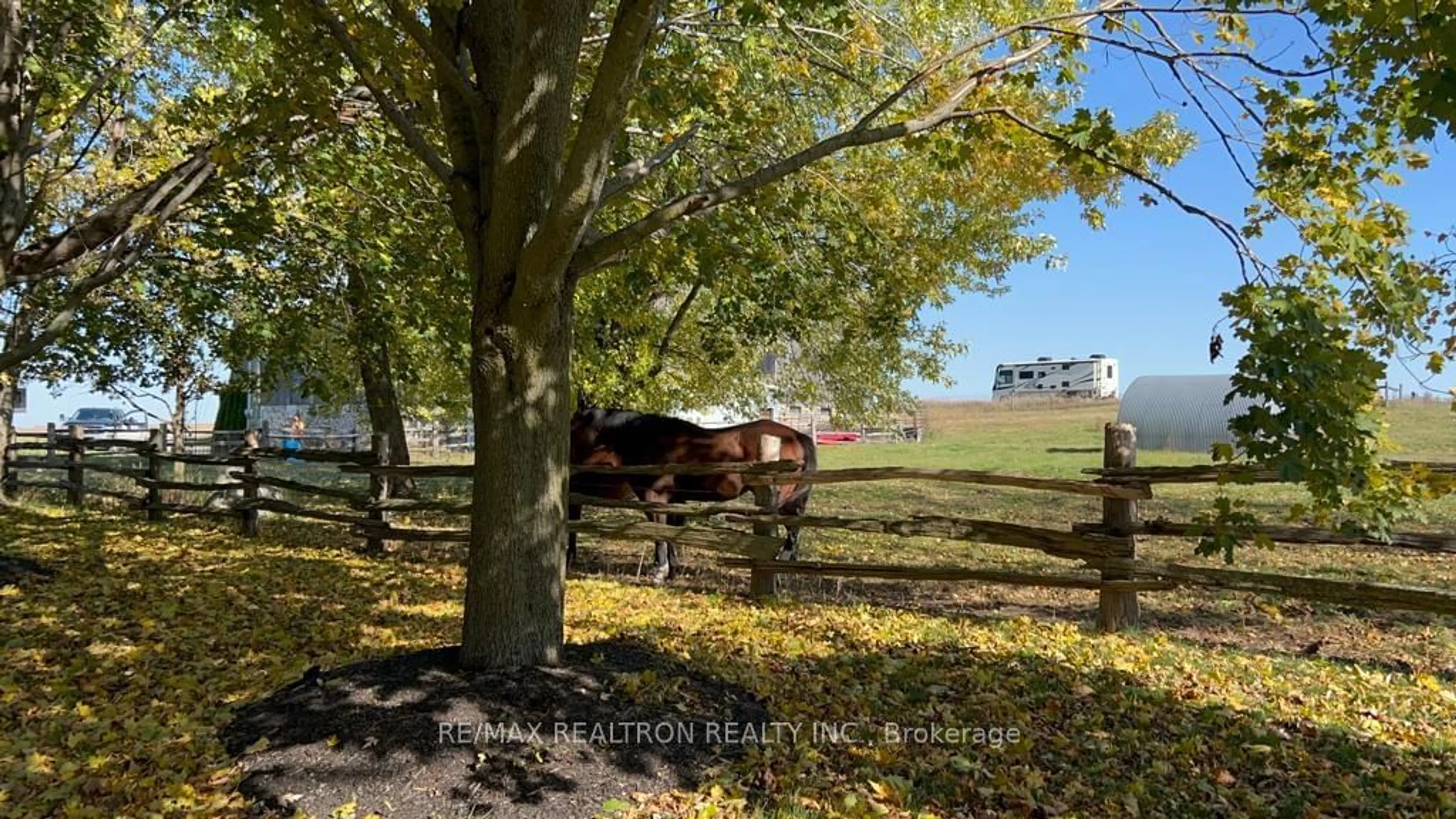 A pic from outside/outdoor area/front of a property/back of a property/a pic from drone, forest/trees view for 3941 Mountjoy Rd, Scugog Ontario L0B 1B0