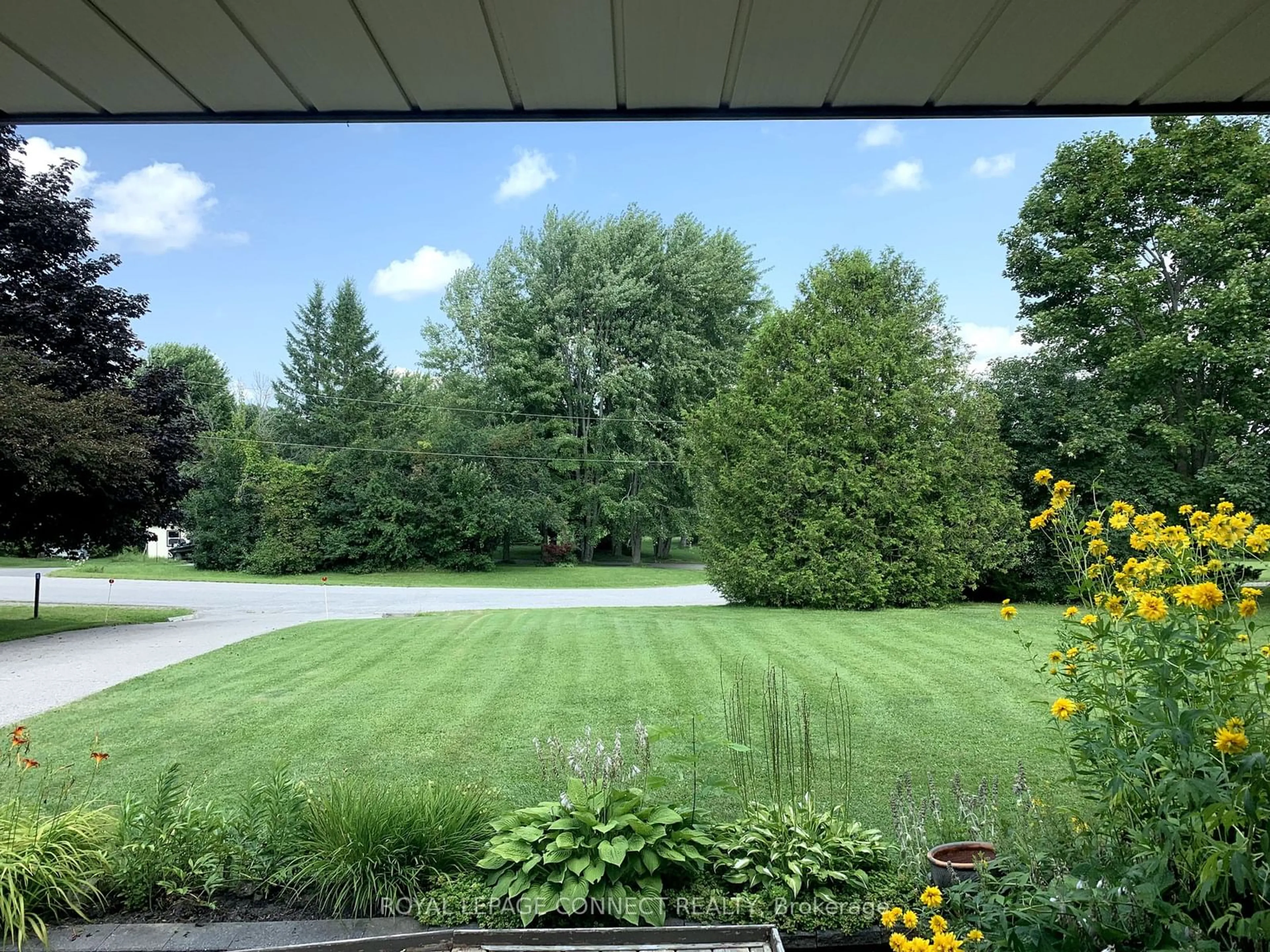 A pic from outside/outdoor area/front of a property/back of a property/a pic from drone, forest/trees view for 10 Christie Cres, Scugog Ontario L9L 1B5