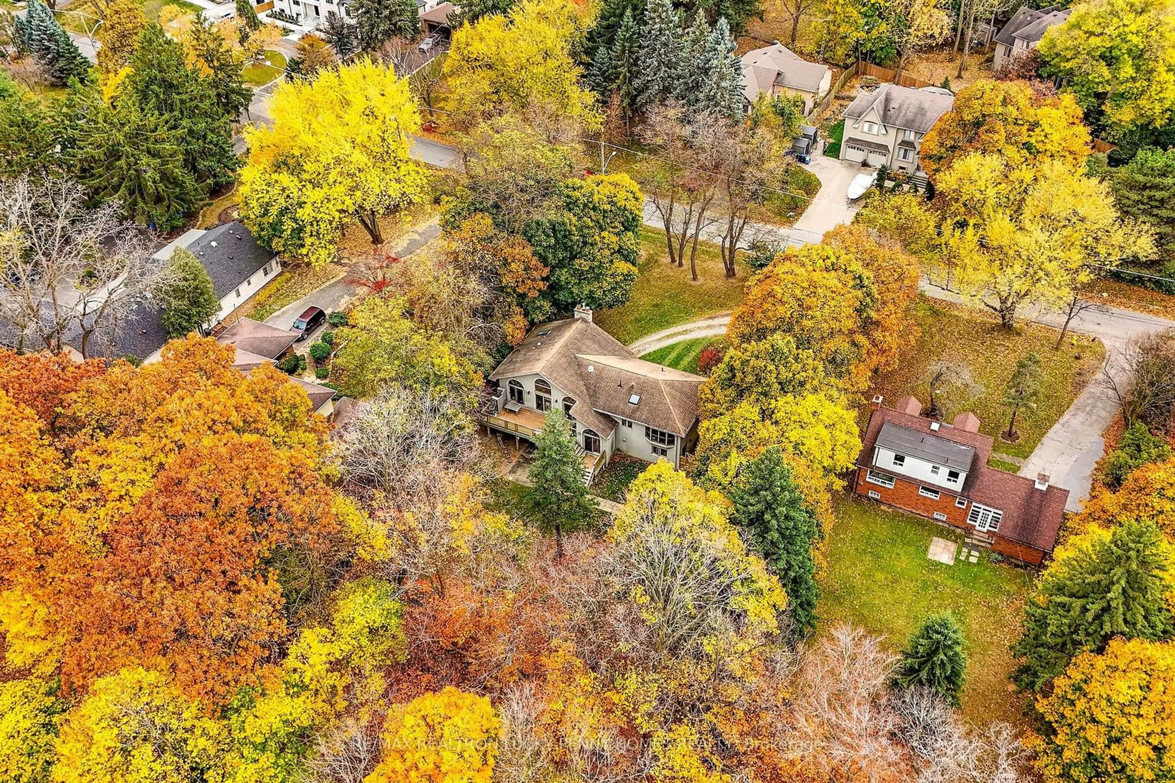 A pic from outside/outdoor area/front of a property/back of a property/a pic from drone, street for 51 Pine Ridge Dr, Toronto Ontario M1M 2X6