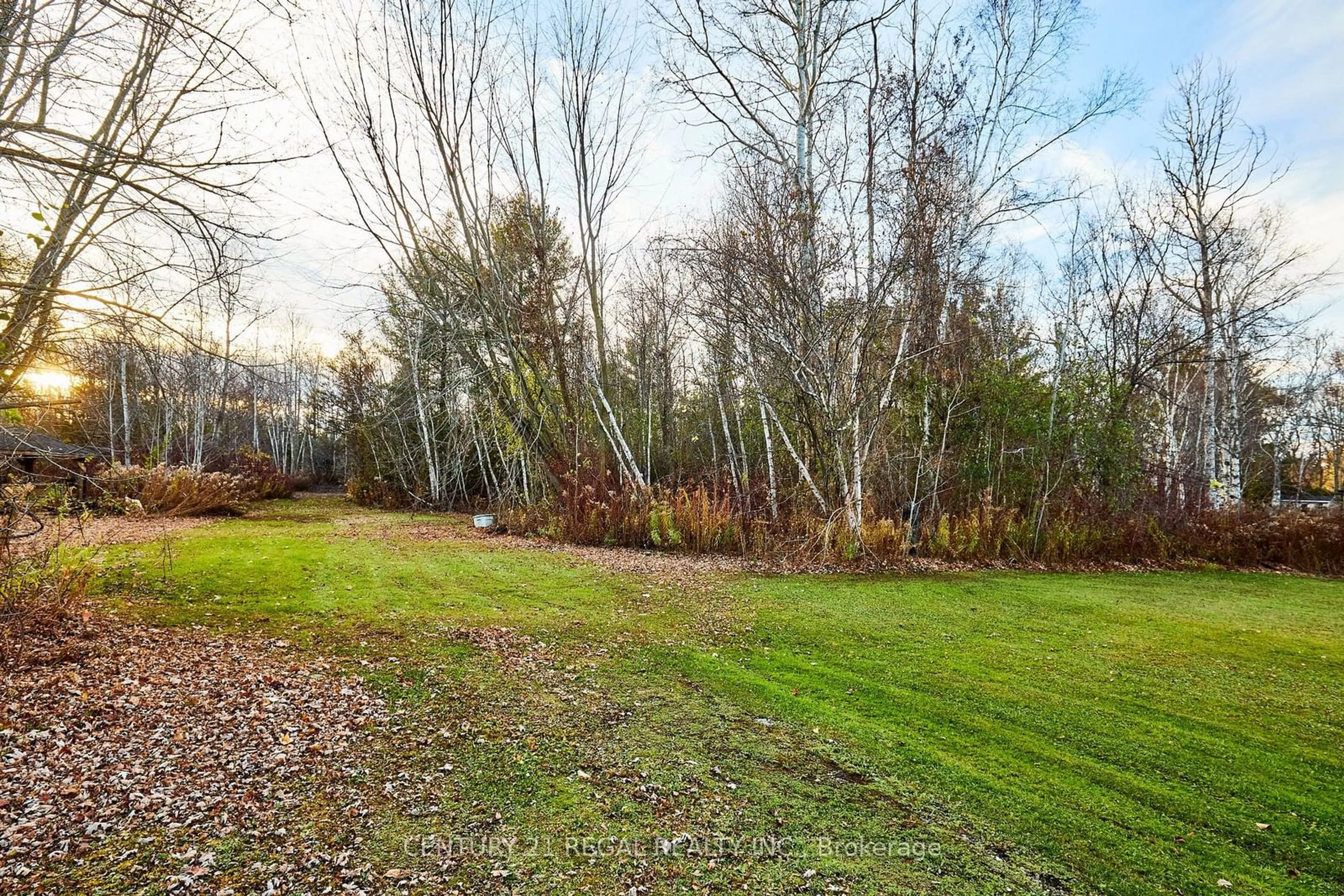 A pic from outside/outdoor area/front of a property/back of a property/a pic from drone, forest/trees view for 3666 Trulls Rd, Clarington Ontario L1E 2L3