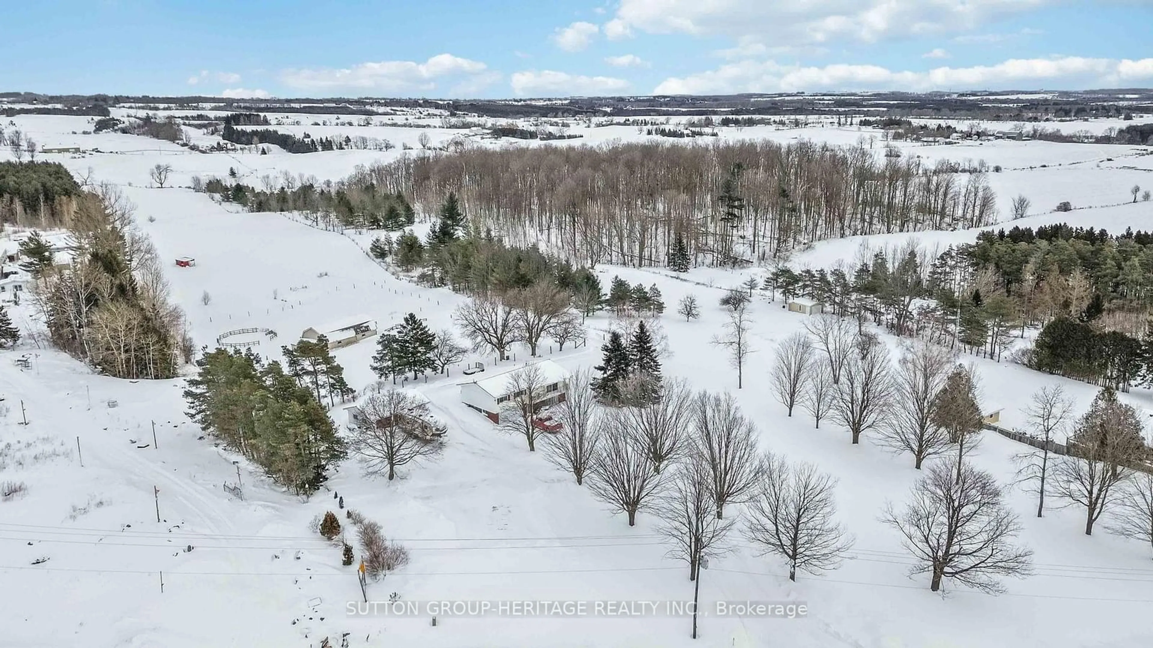 A pic from outside/outdoor area/front of a property/back of a property/a pic from drone, forest/trees view for 5045 Simcoe St, Oshawa Ontario L1H 7K4