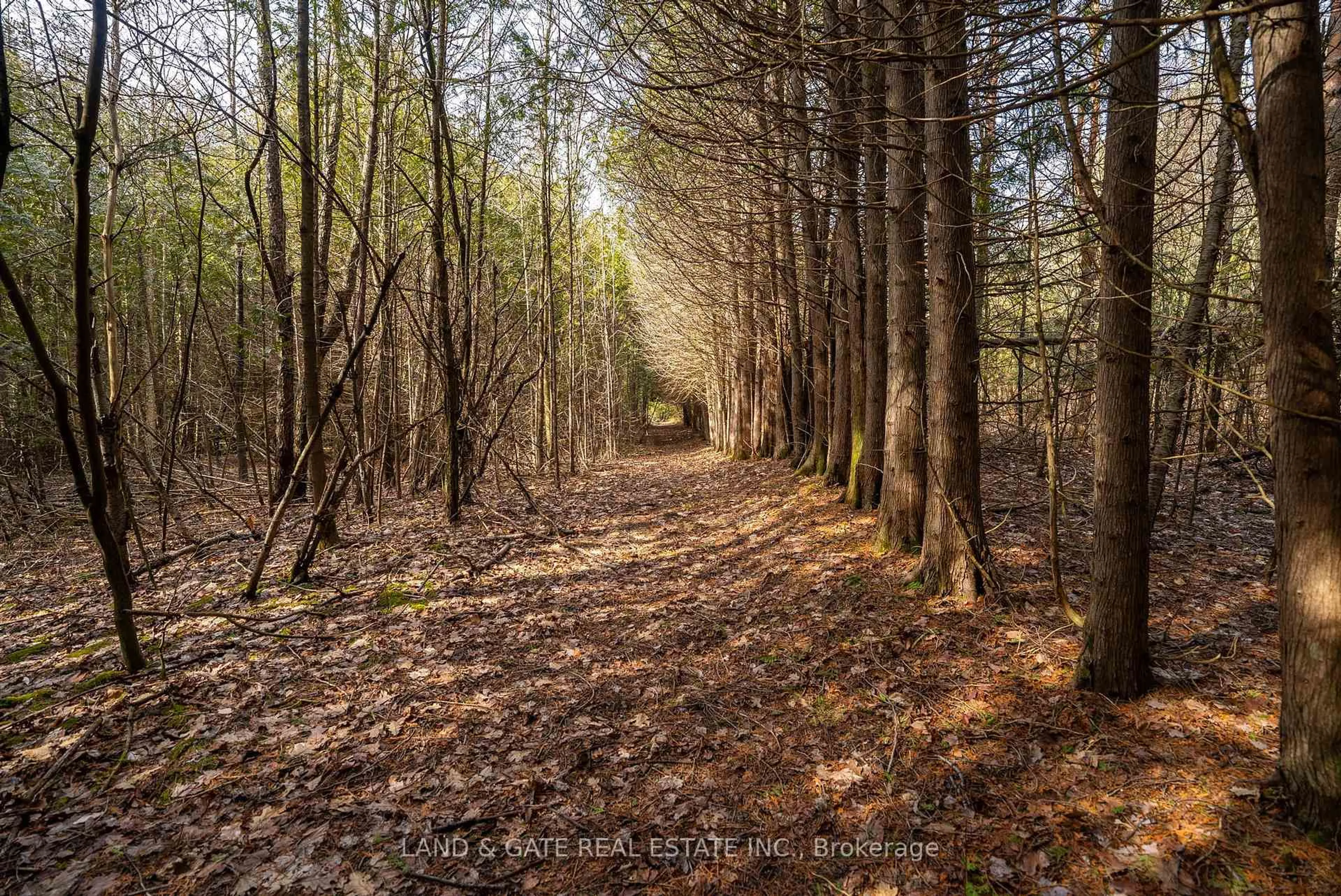 Blurry image for 9015 Mosport Rd, Clarington Ontario L0B 1M0