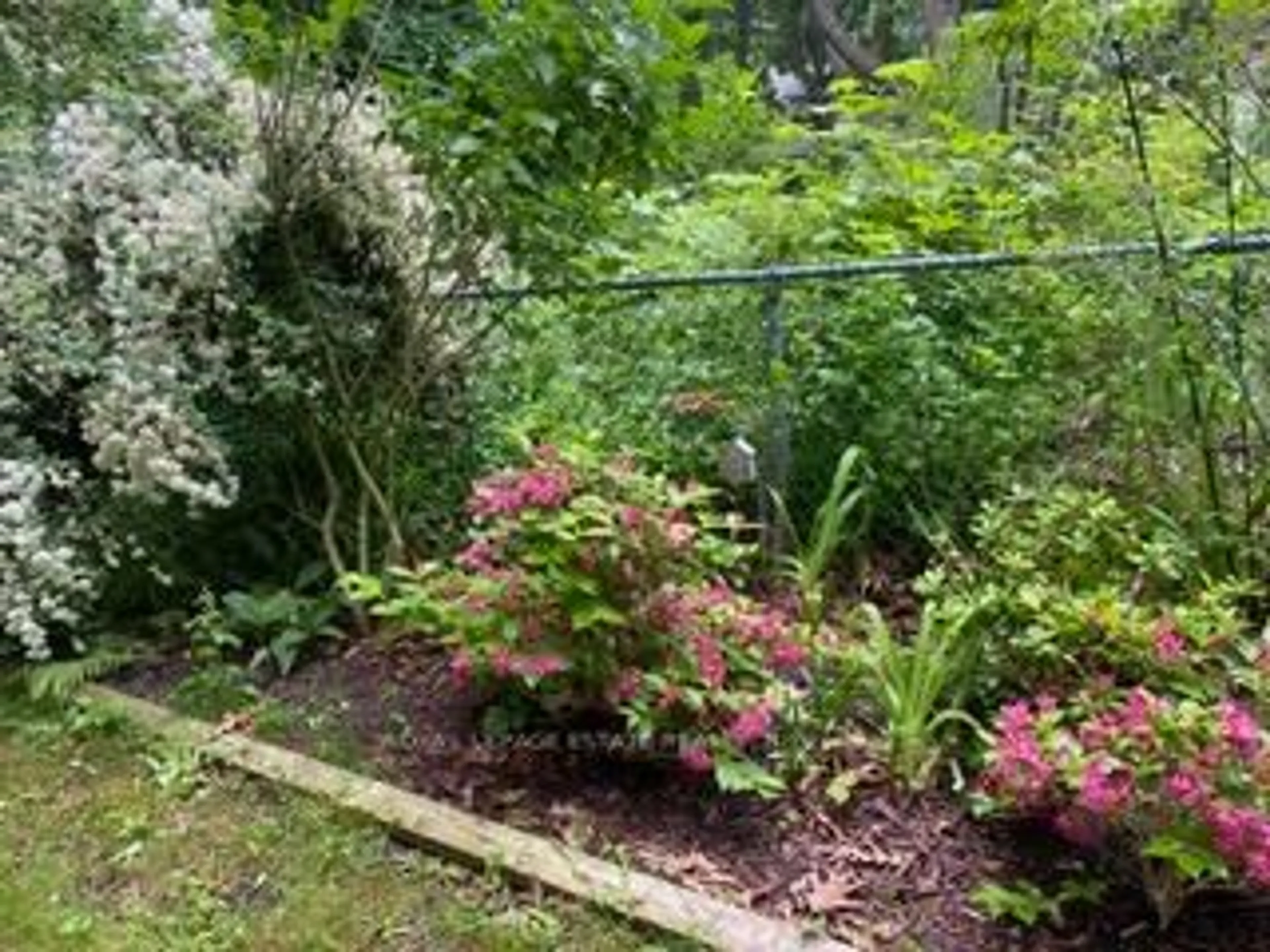 A pic from outside/outdoor area/front of a property/back of a property/a pic from drone, forest/trees view for 3 Springbank Ave, Toronto Ontario M1N 1G2