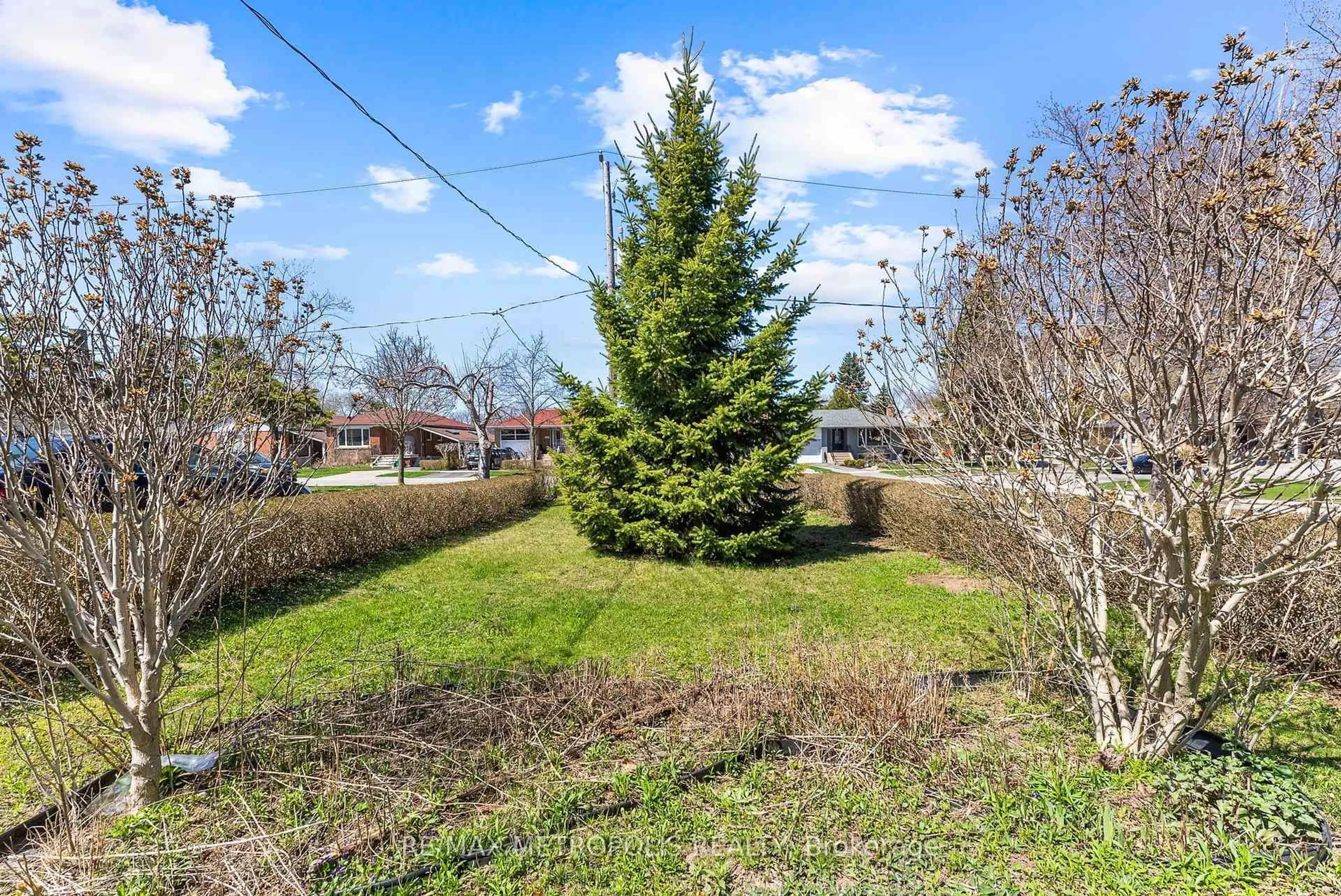 Patio, forest/trees view for 25 Kells Ave, Toronto Ontario M1K 4W6