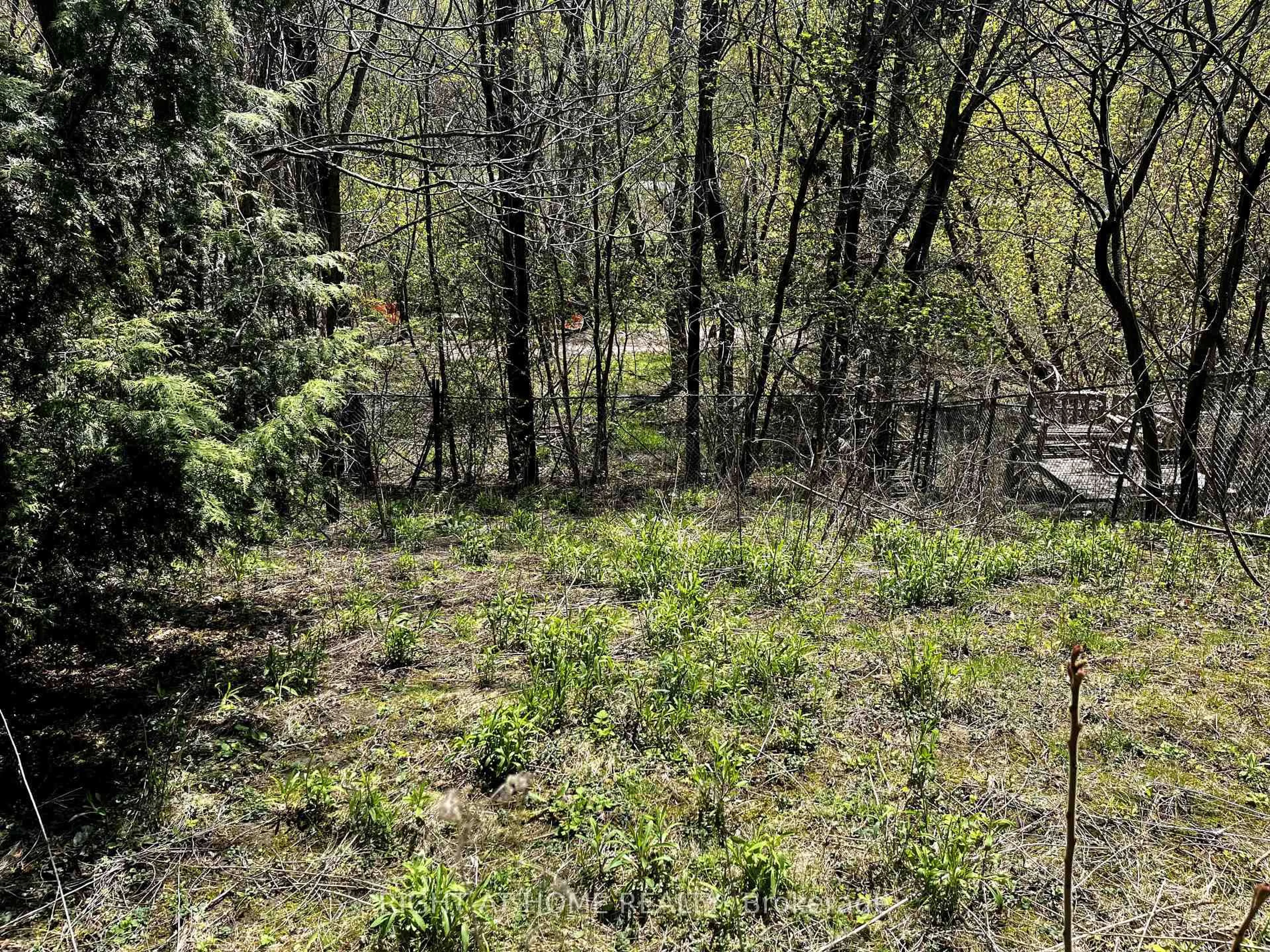 A pic from outside/outdoor area/front of a property/back of a property/a pic from drone, forest/trees view for 33 Notley Pl, Toronto Ontario M4B 2M7