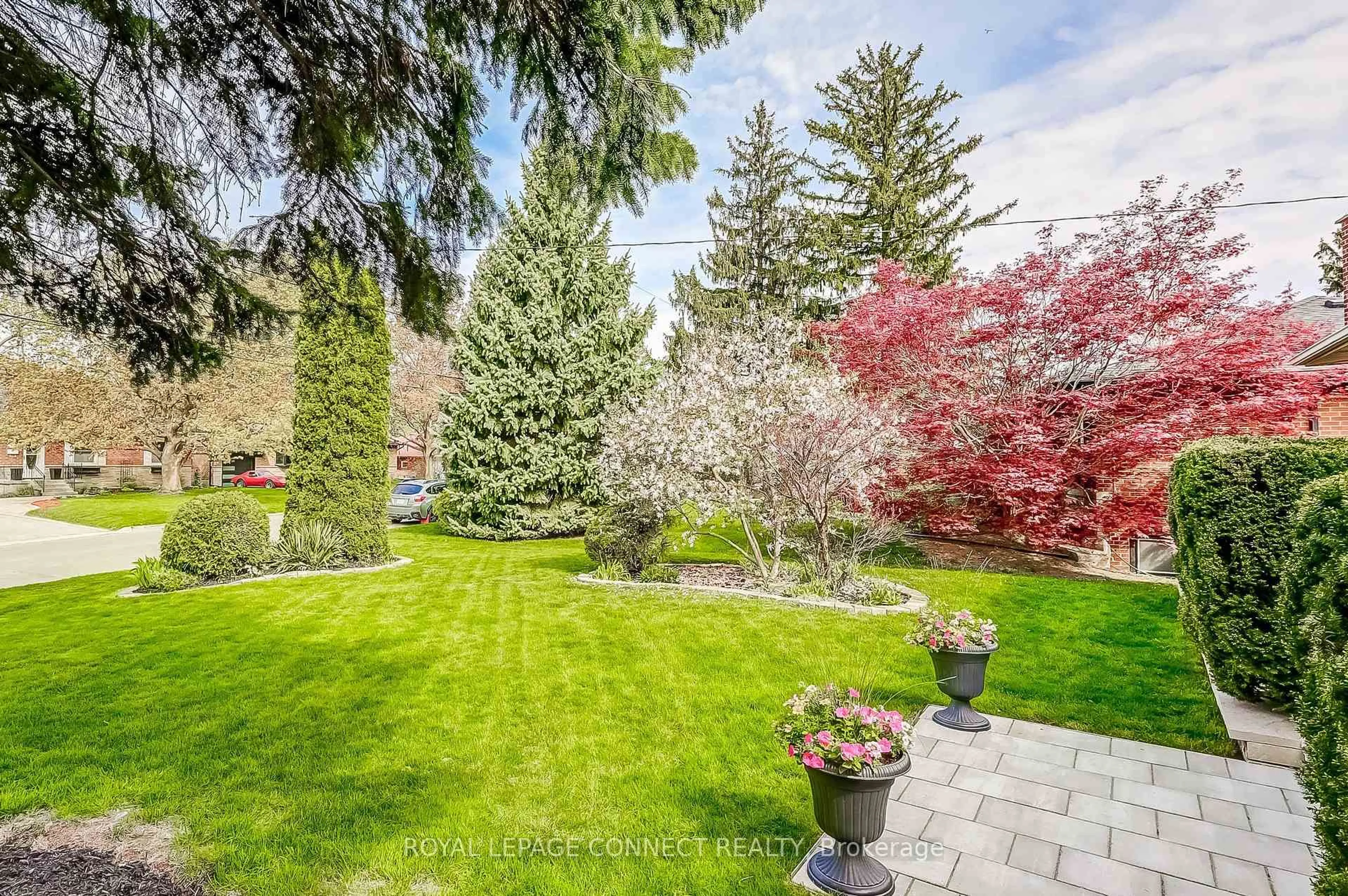 A pic from outside/outdoor area/front of a property/back of a property/a pic from drone, forest/trees view for 11 McNab Blvd, Toronto Ontario M1M 2W3