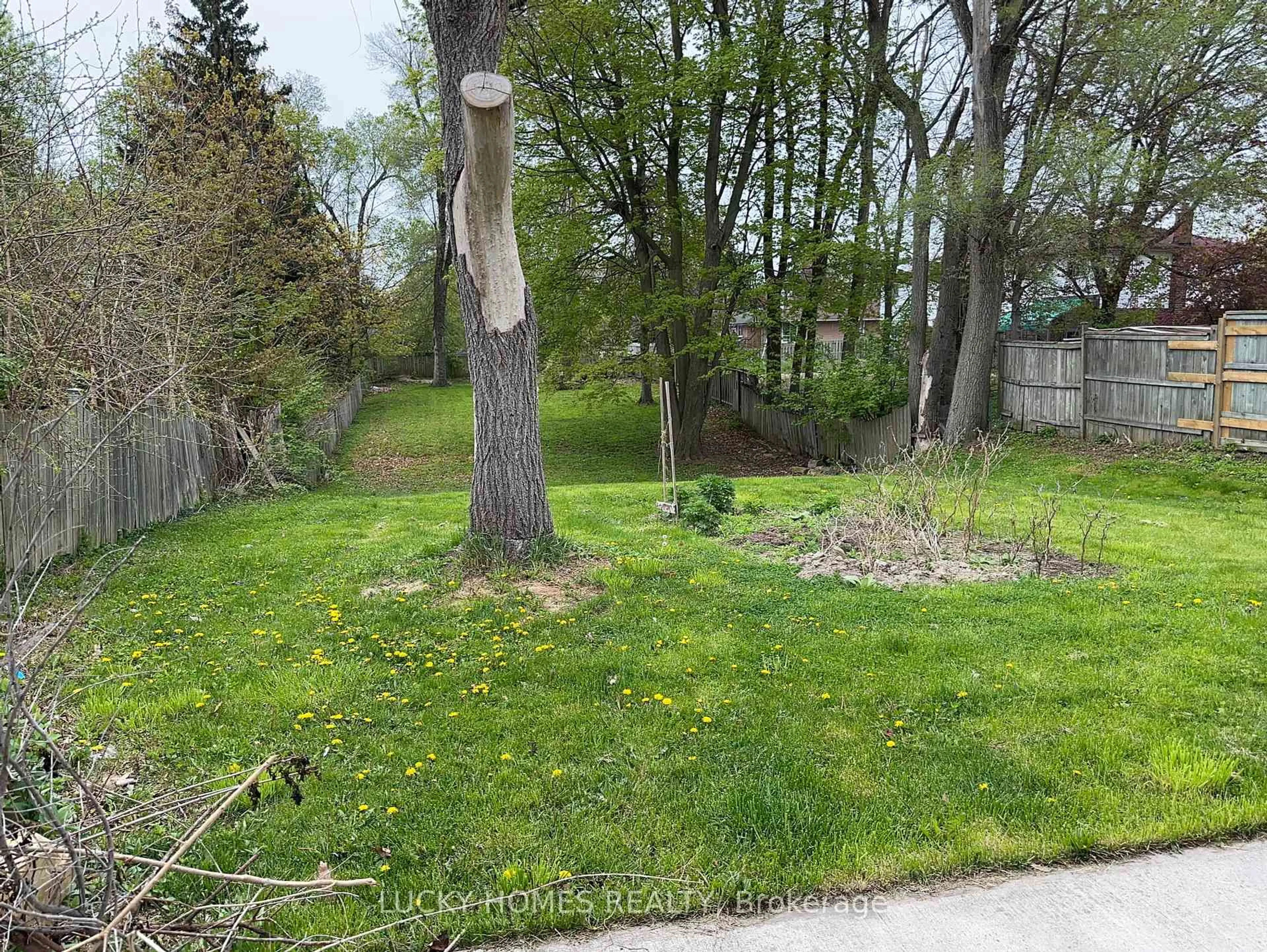 A pic from outside/outdoor area/front of a property/back of a property/a pic from drone, forest/trees view for 4361 Lawrence Ave, Toronto Ontario M1E 2T4