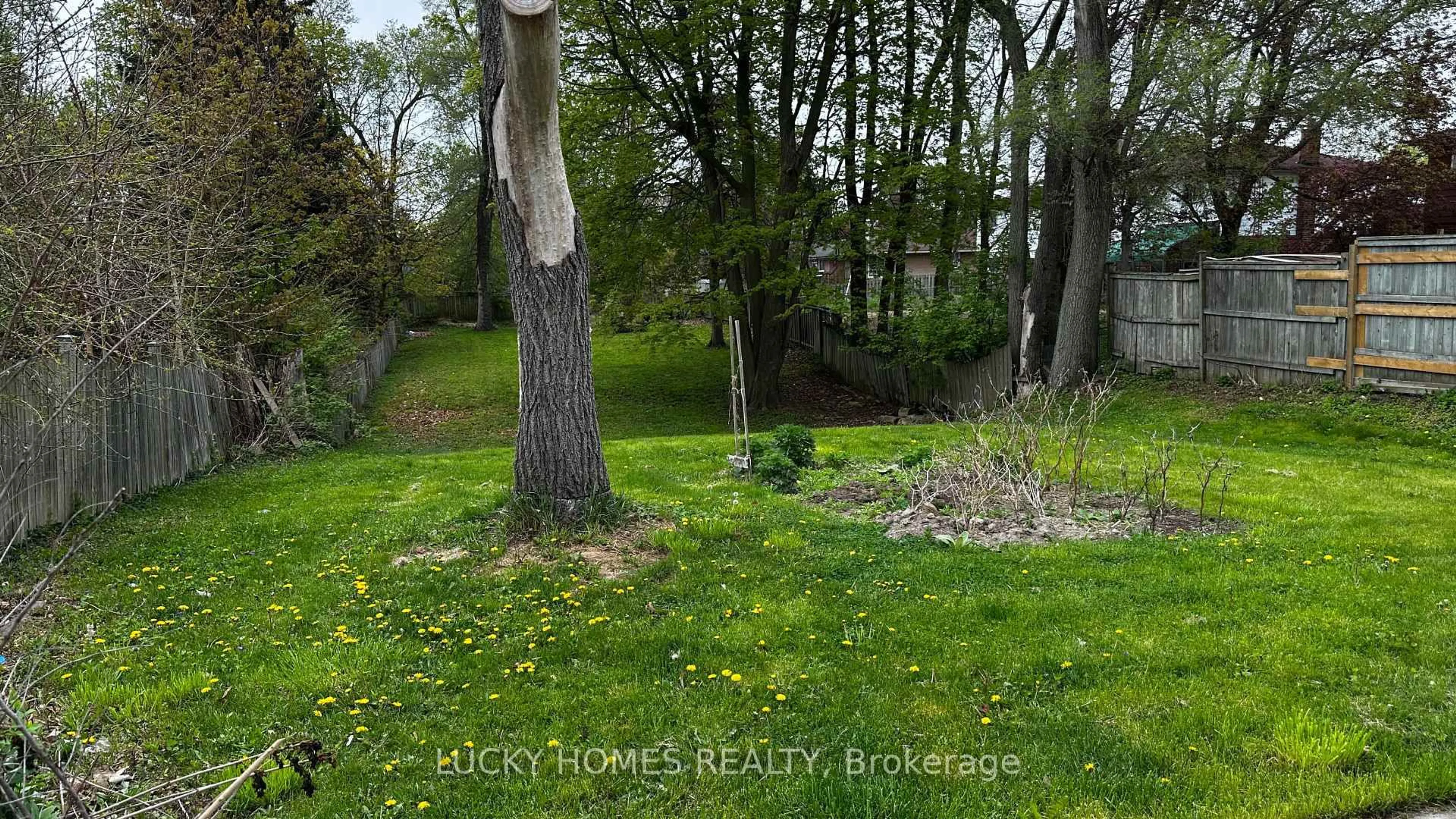 A pic from outside/outdoor area/front of a property/back of a property/a pic from drone, forest/trees view for 4361 Lawrence Ave, Toronto Ontario M1E 2T4