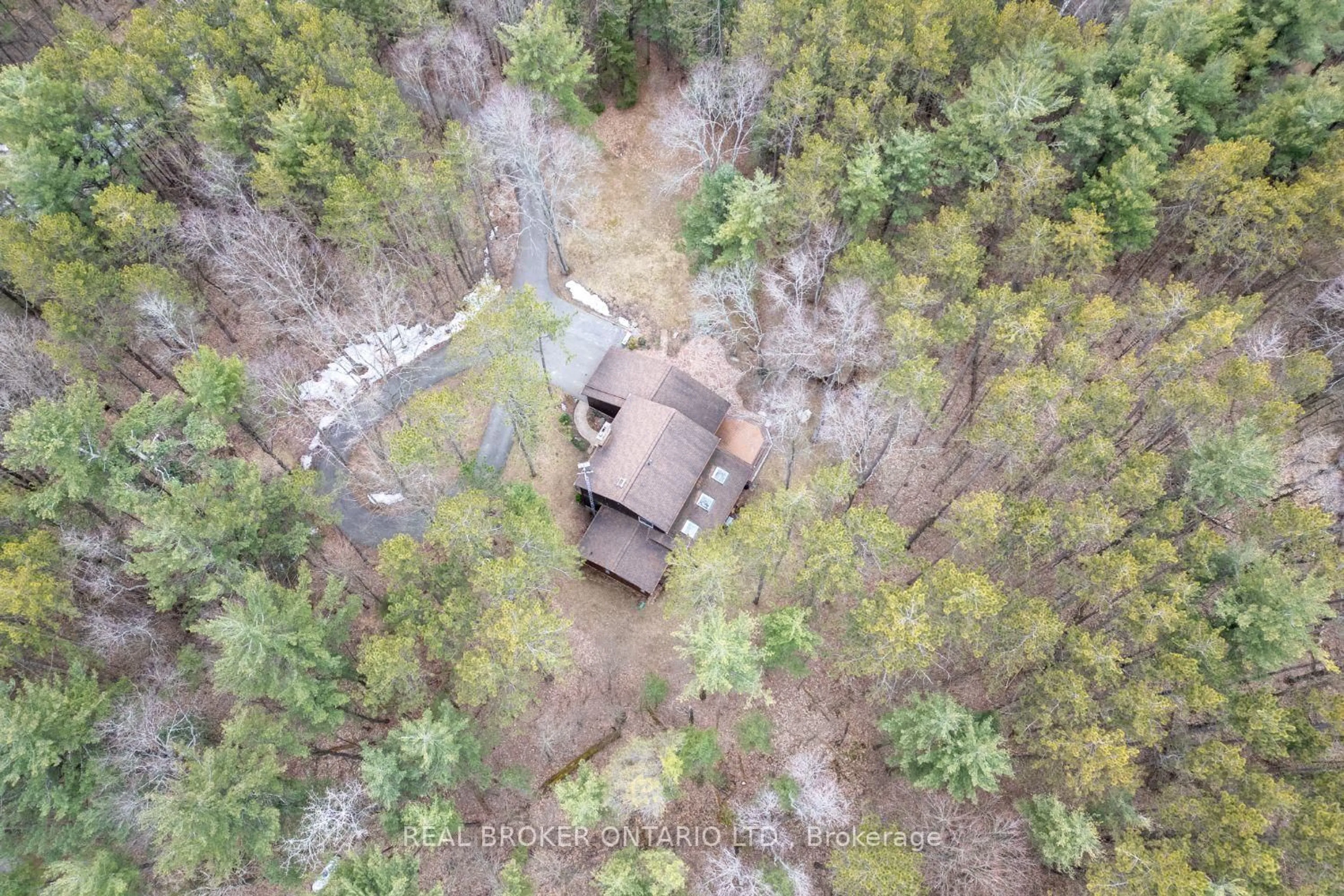 A pic from outside/outdoor area/front of a property/back of a property/a pic from drone, forest/trees view for 2154 Concession Rd 10 N/A, Clarington Ontario L0B 1B0